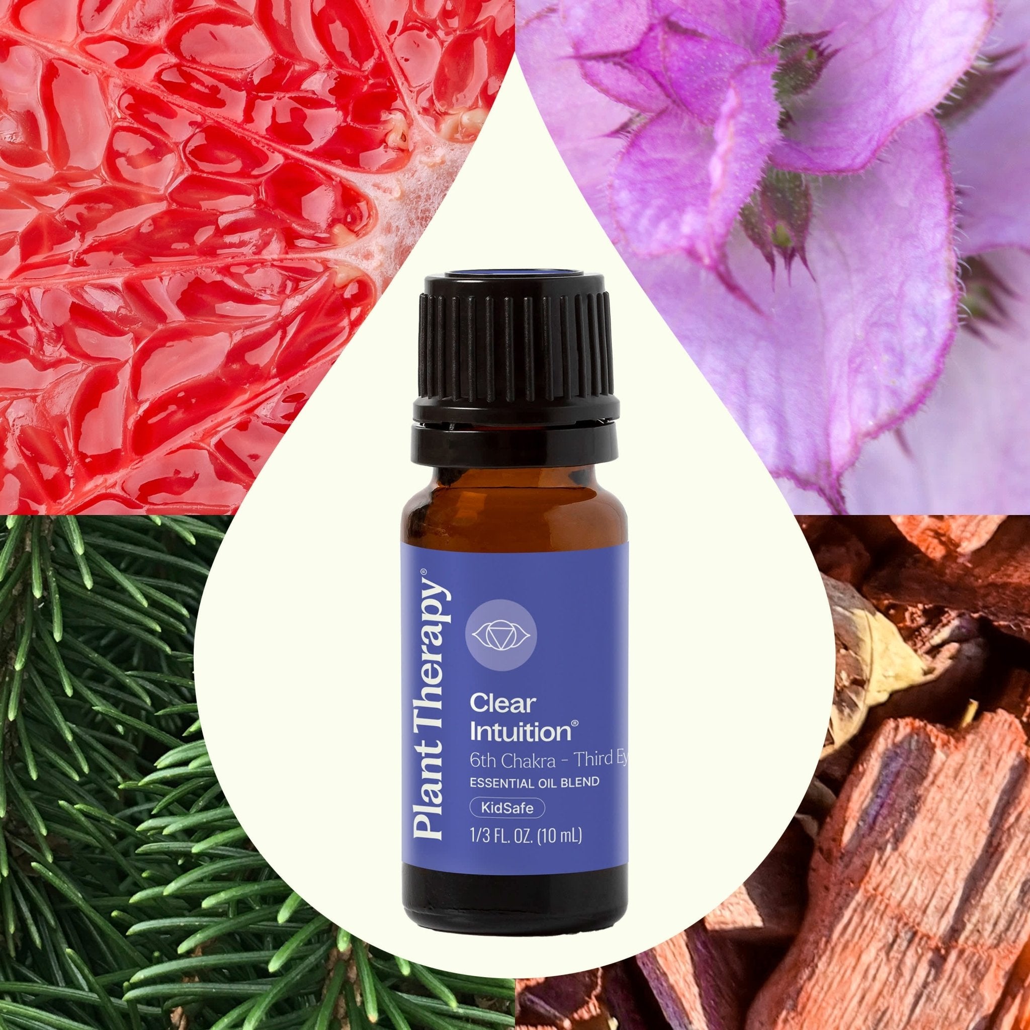 Clear Intuition (Brow Chakra) Essential Oil 10 mL Plant Therapy