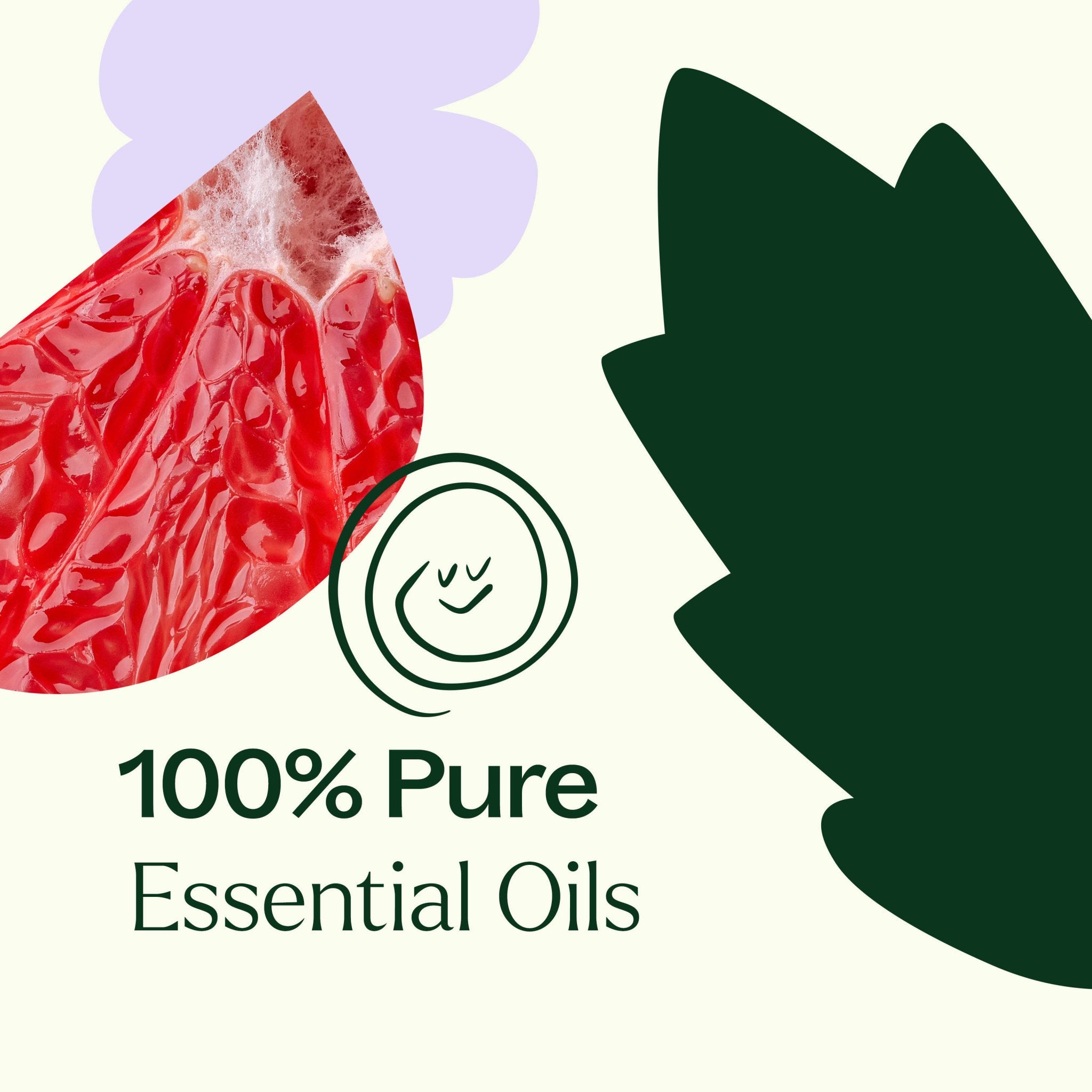 Clear Intuition (Brow Chakra) Essential Oil 10 mL Plant Therapy