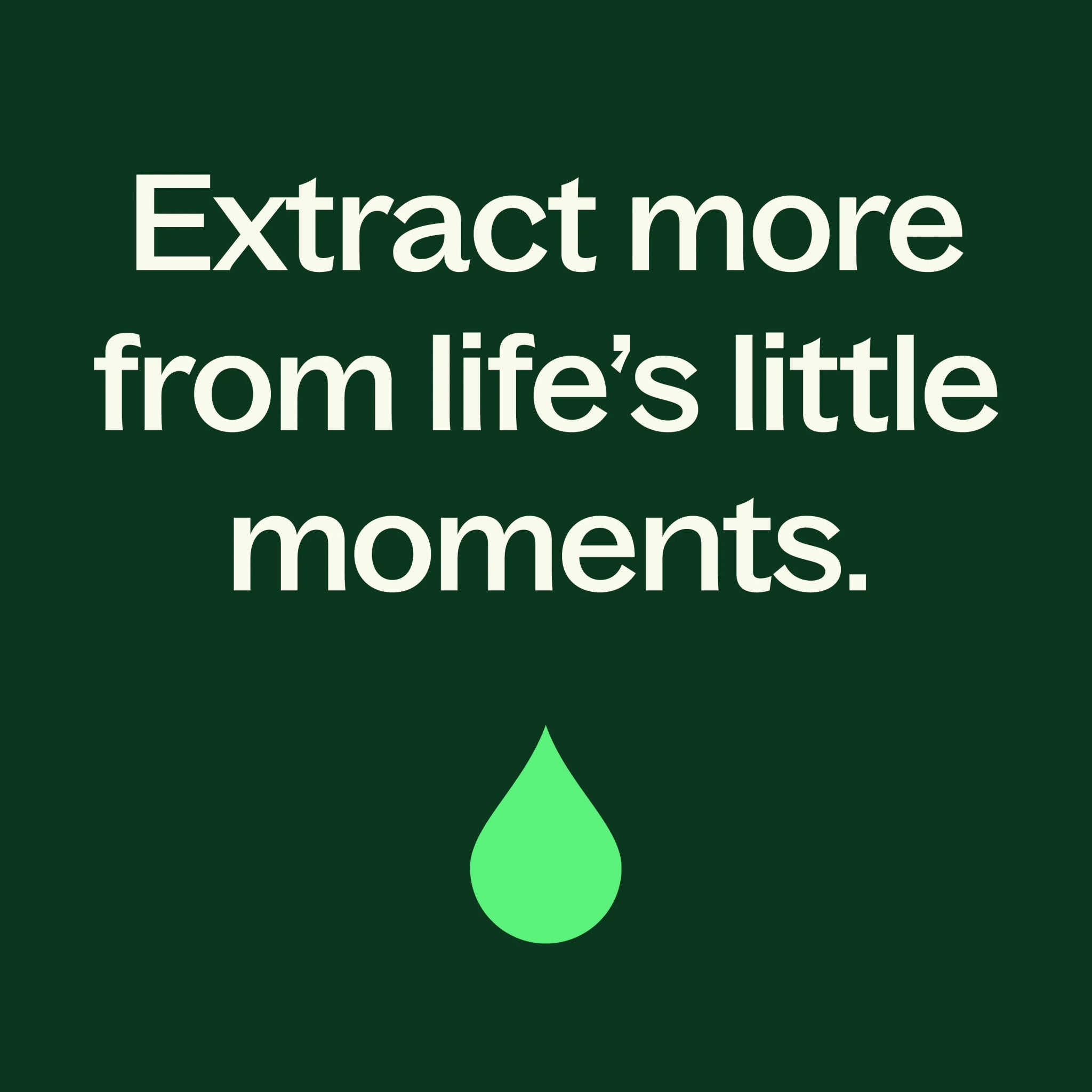 Clove & Pear Linen Spray Plant Therapy
