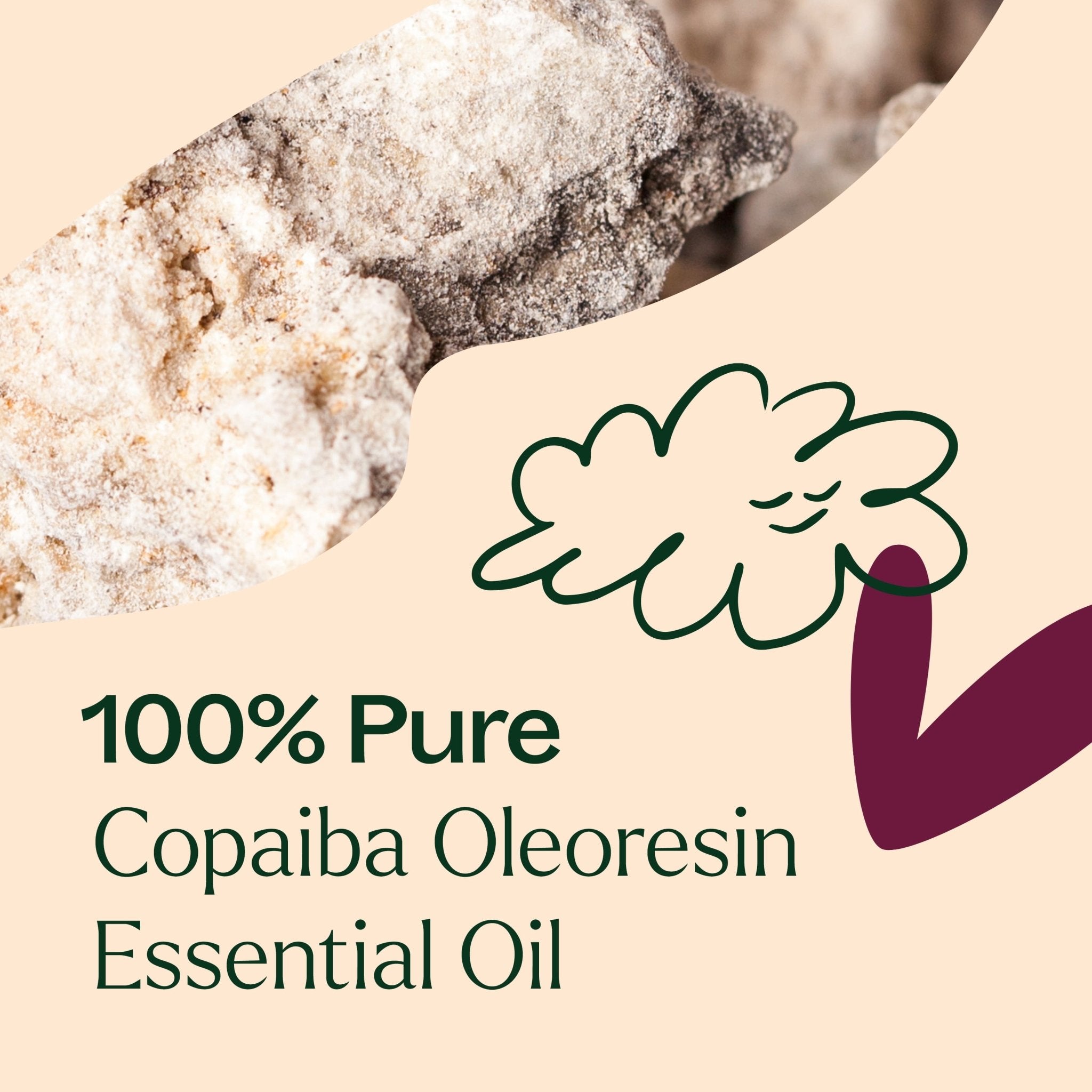 Copaiba Oleoresin Plant Therapy