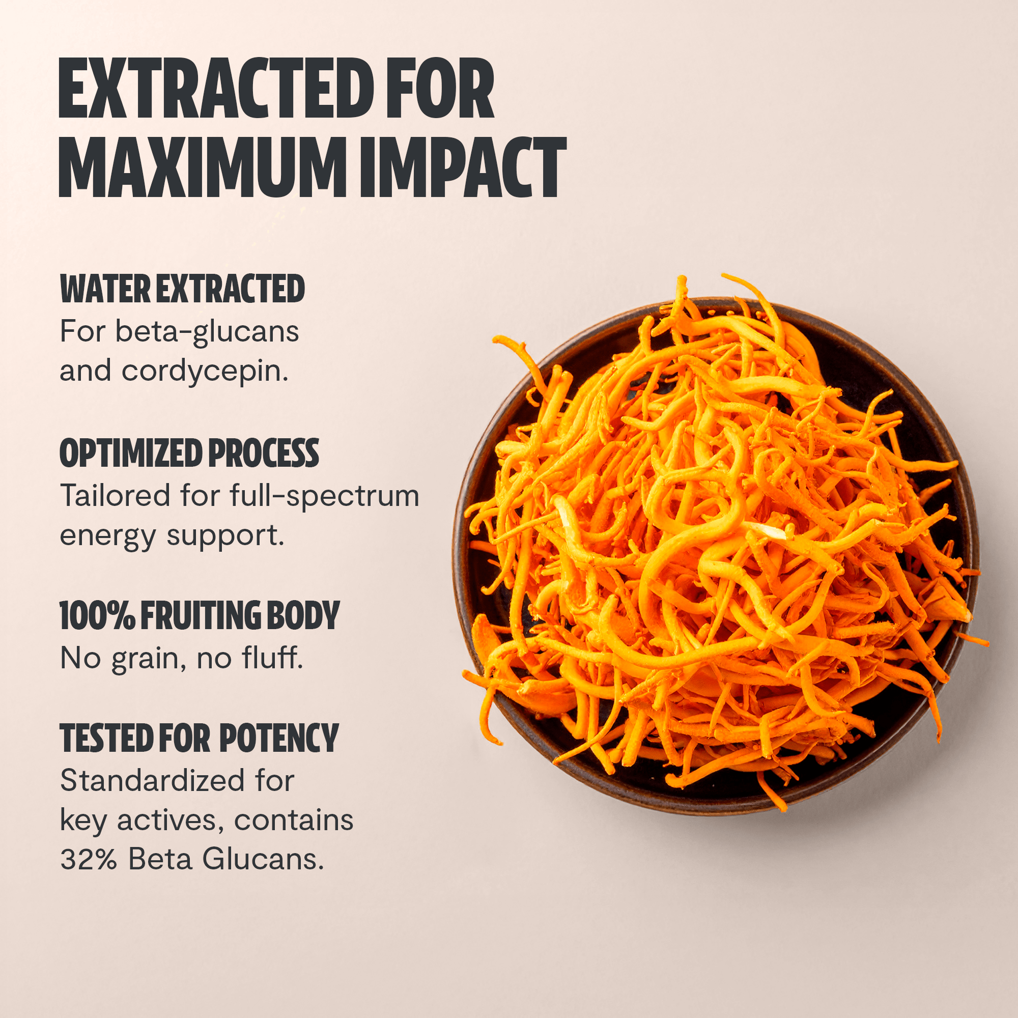 Cordyceps Mushroom Extract Capsules FreshCap Mushrooms