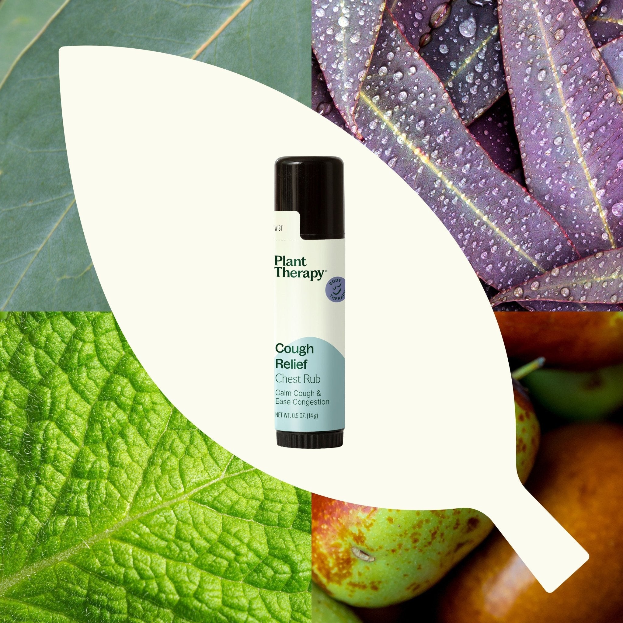 Cough Relief Clearing Chest Rub Plant Therapy