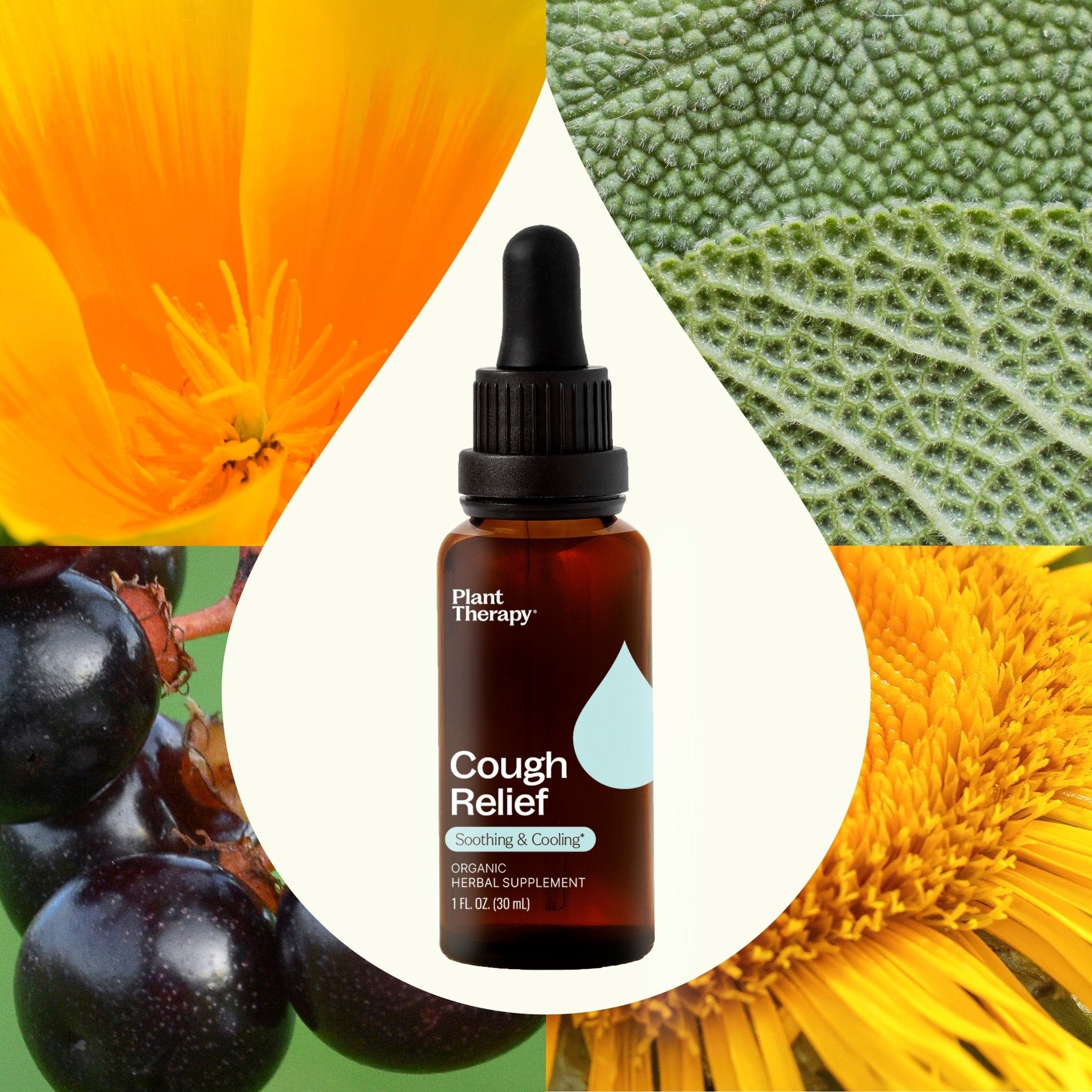 Cough Relief Organic Herbal Supplement Plant Therapy