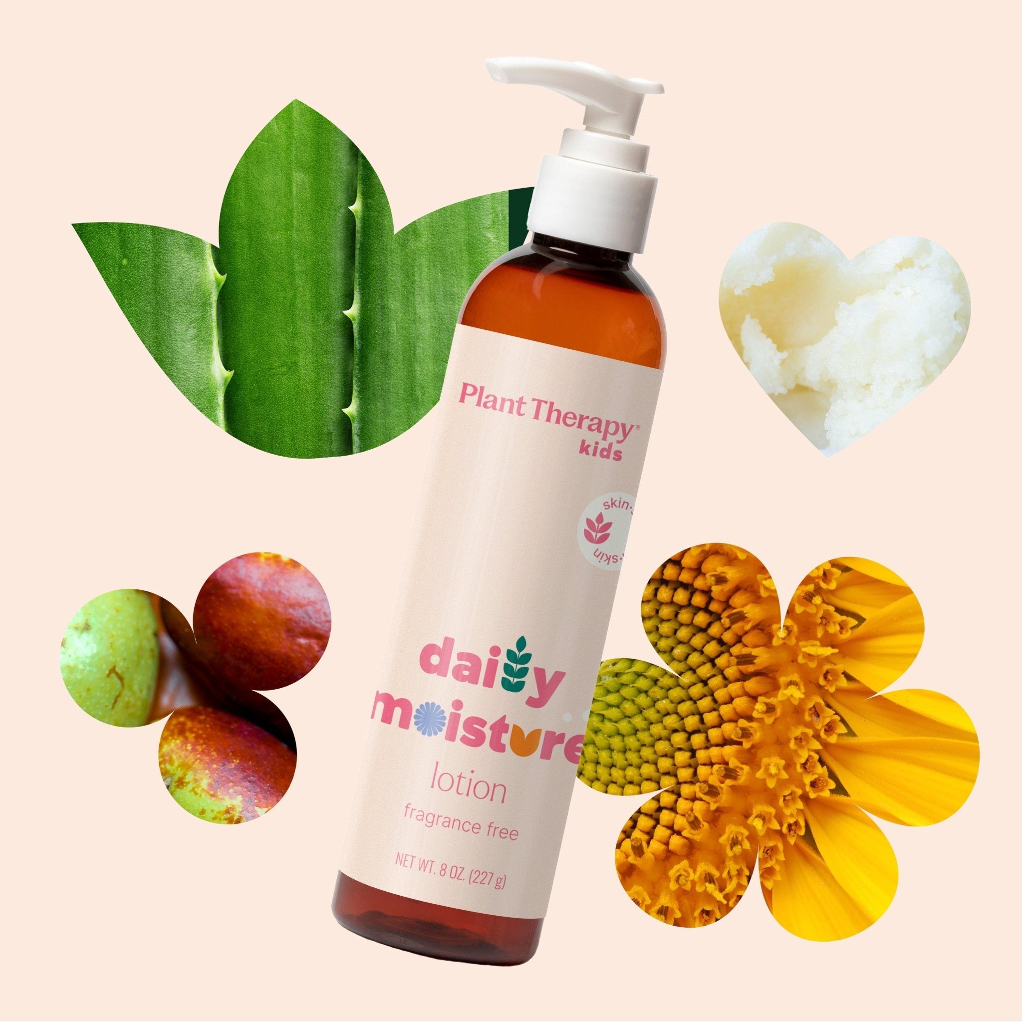 Daily Moisture Lotion Plant Therapy