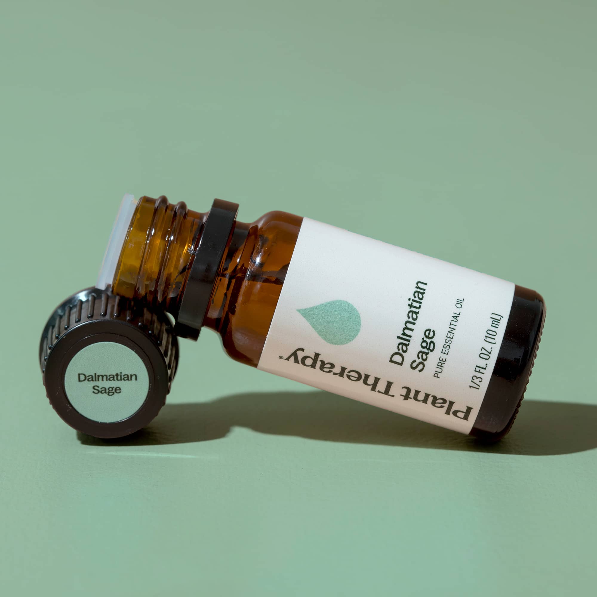 Dalmatian Sage Essential Oil Plant Therapy