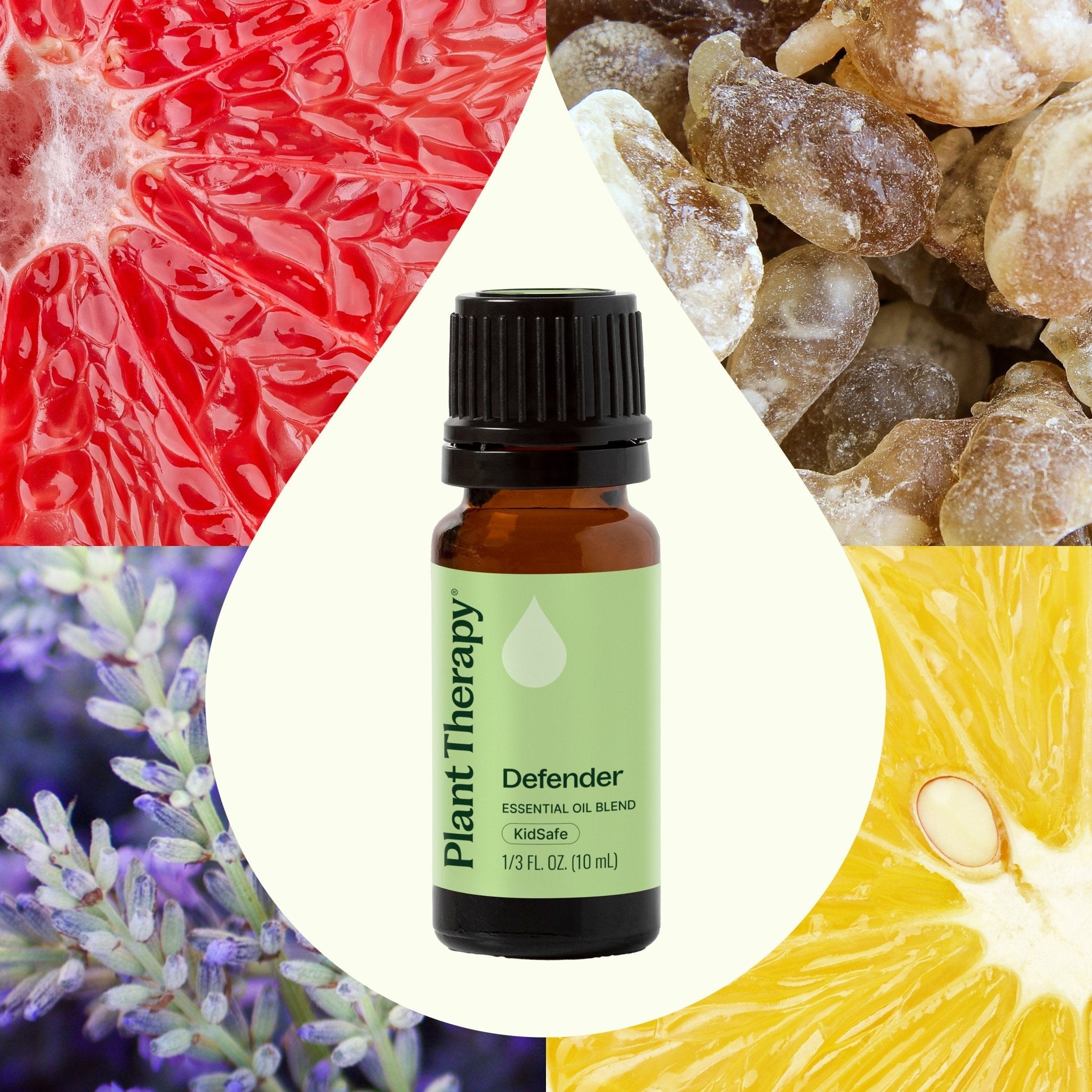 Defender Essential Oil Blend Plant Therapy