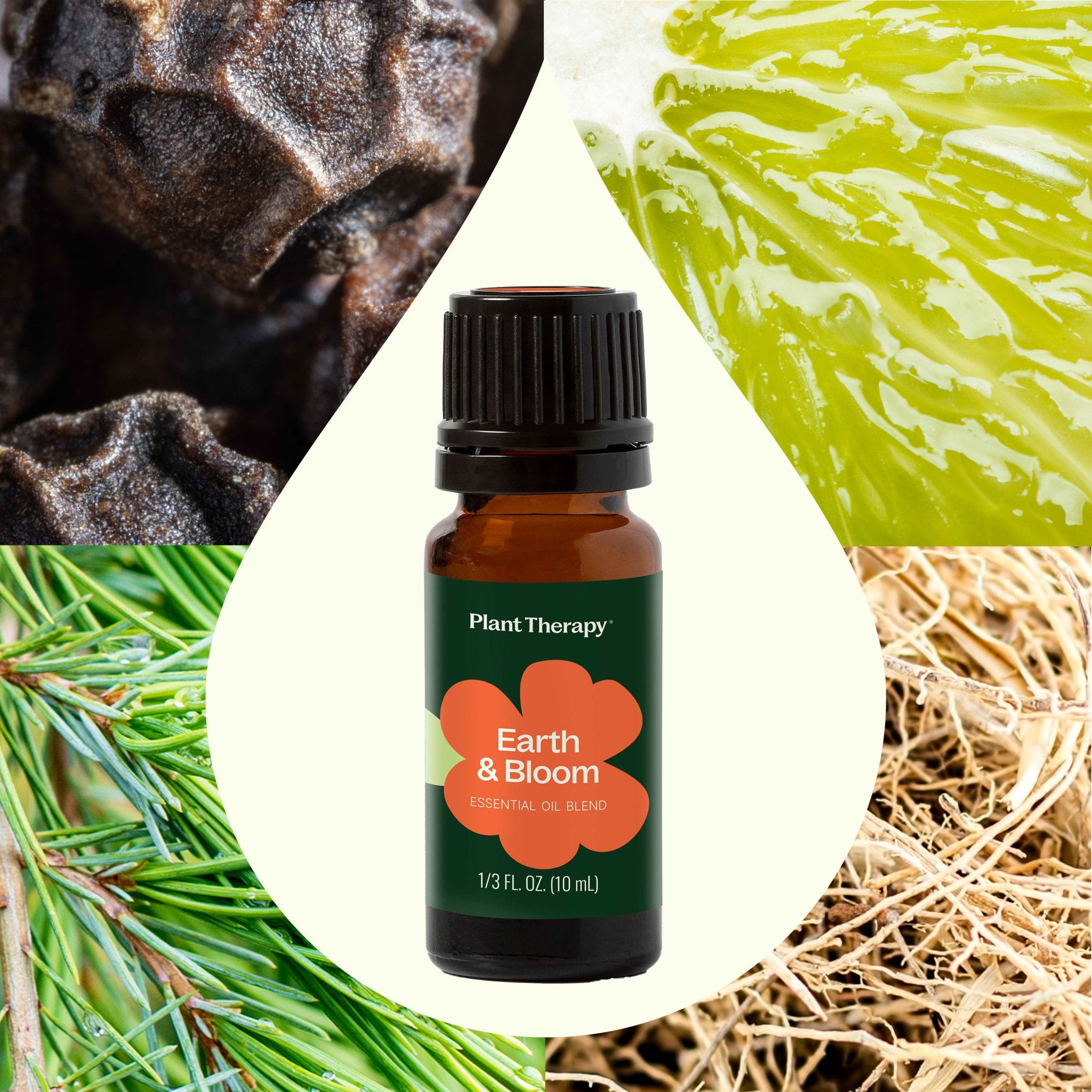 Earth & Bloom Essential Oil Blend Plant Therapy