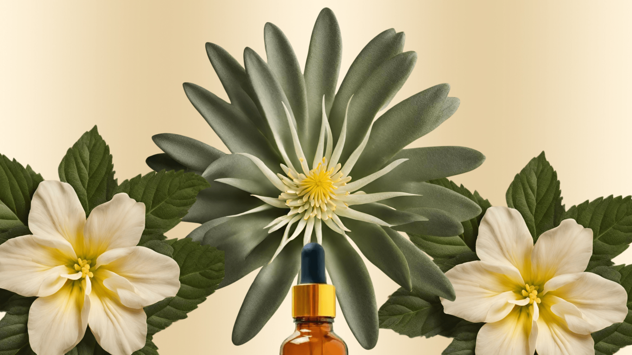 Ecstatic ✦ Kanna + Damiana Tincture Altar Native