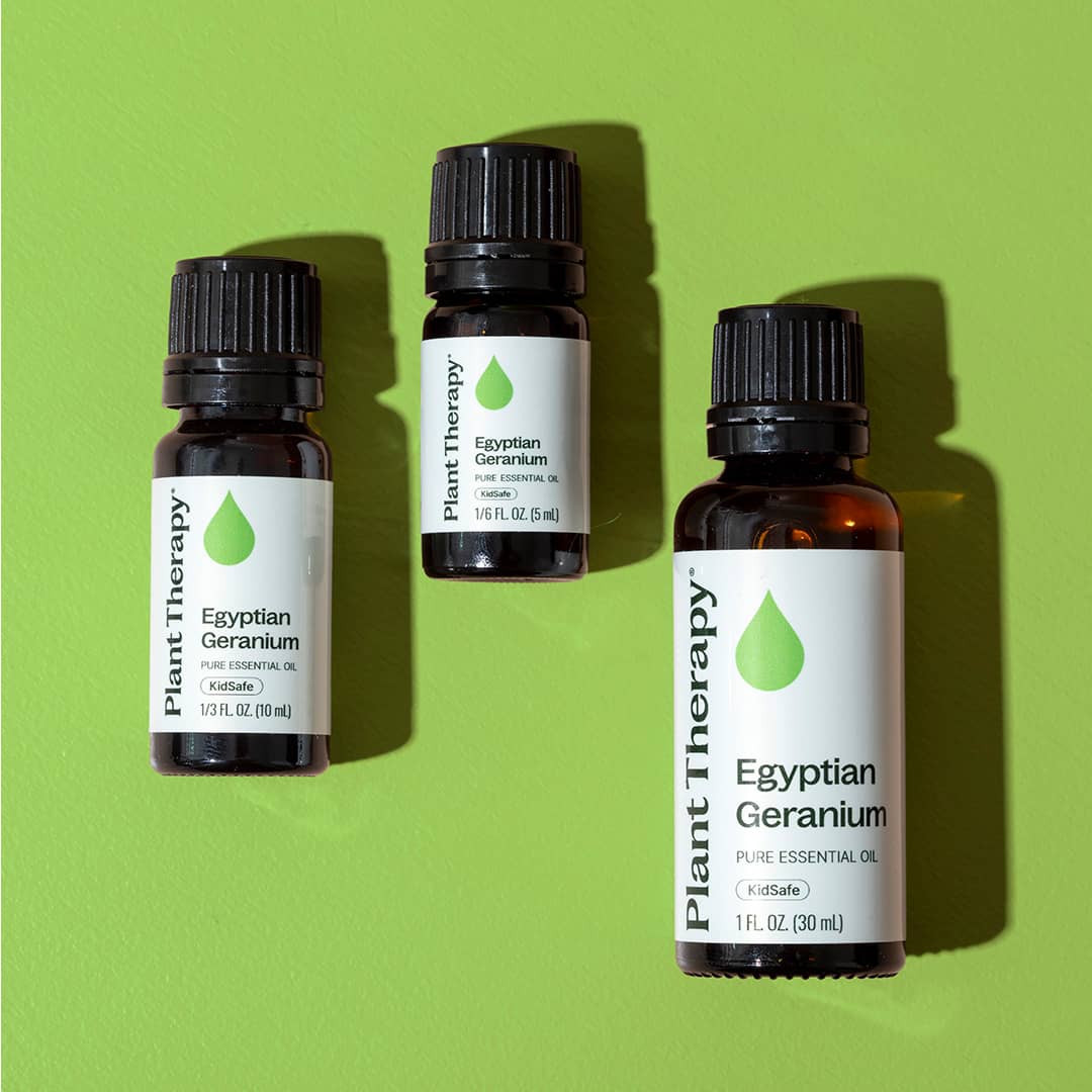 Egyptian Geranium Essential Oil Plant Therapy