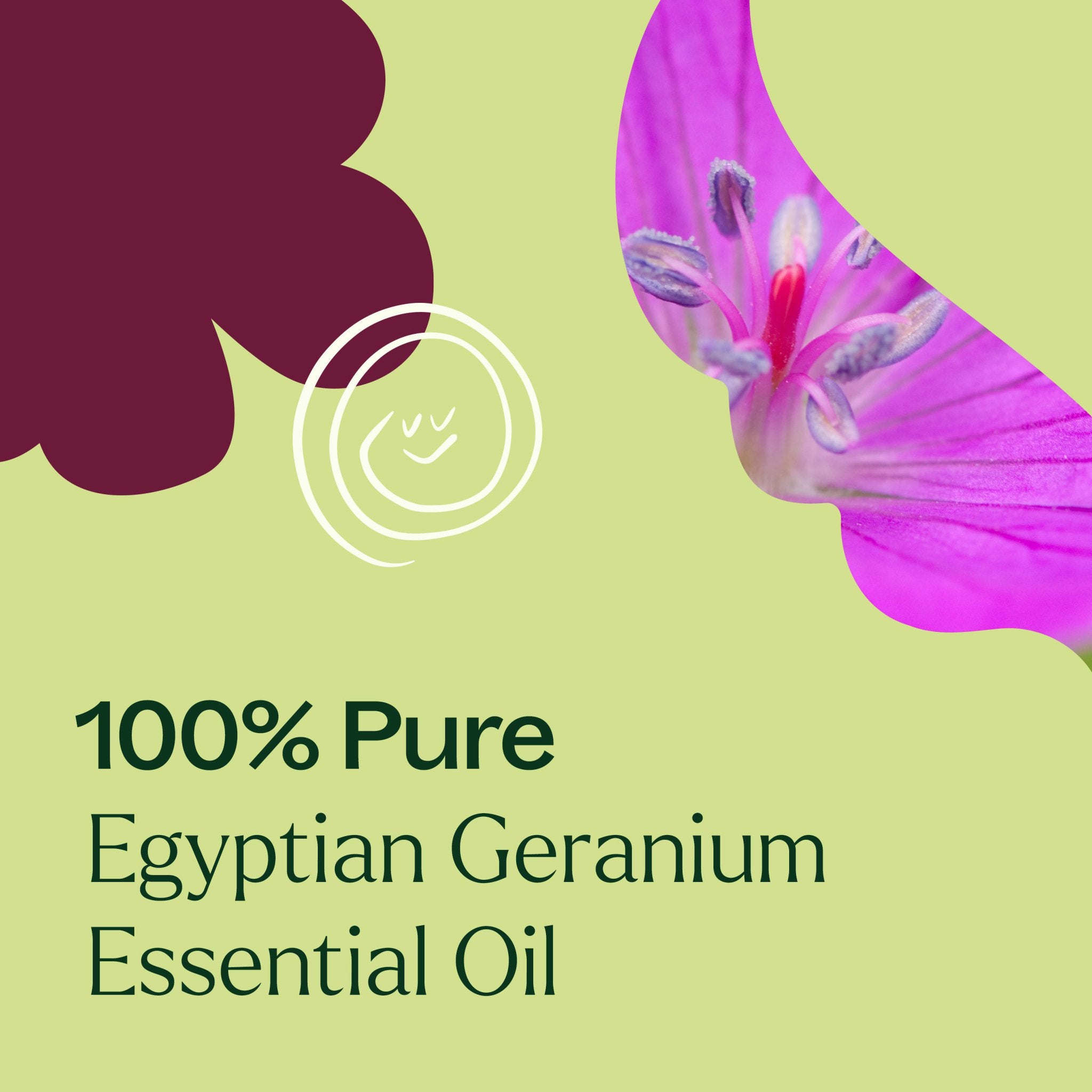 Egyptian Geranium Essential Oil Plant Therapy