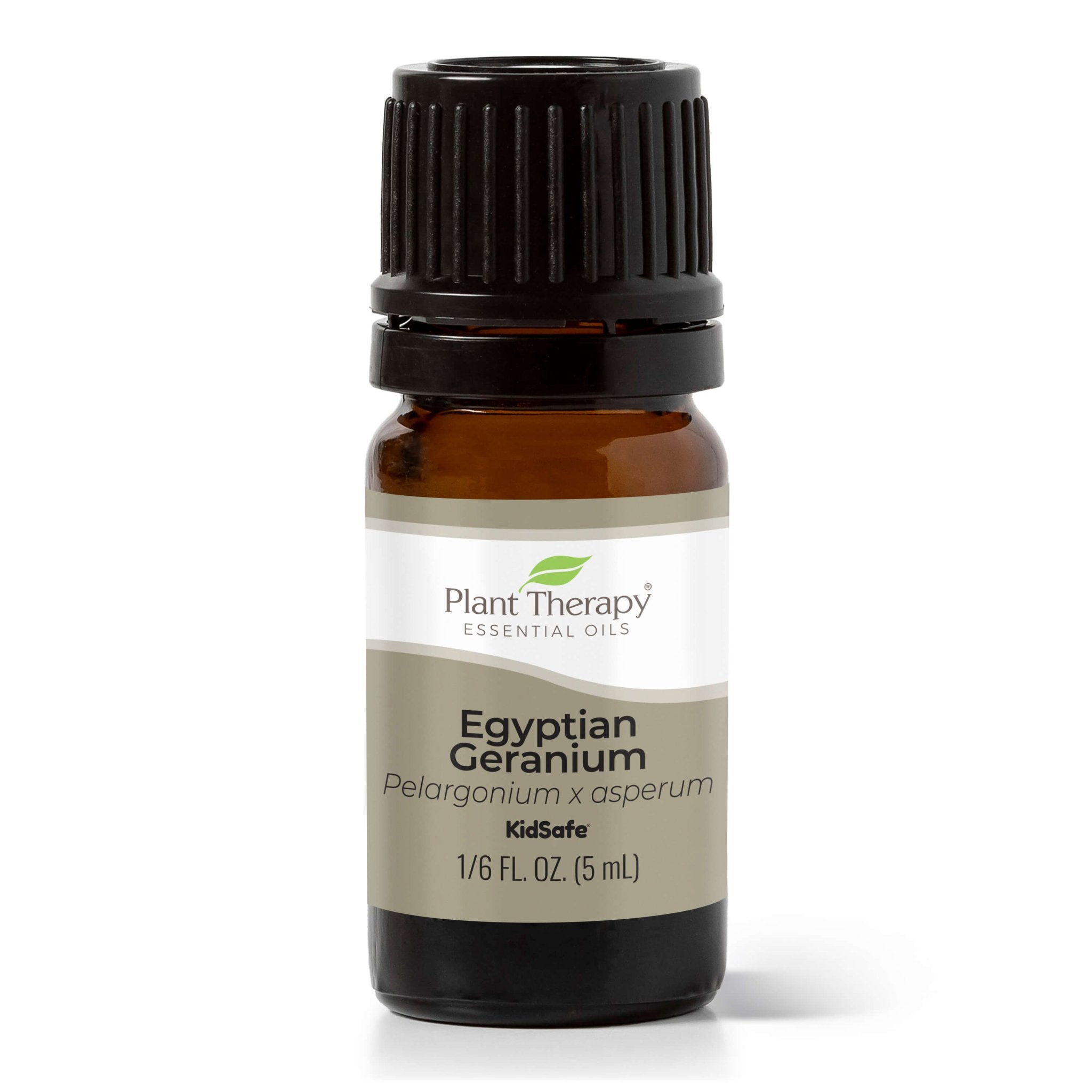 Egyptian Geranium Essential Oil Plant Therapy