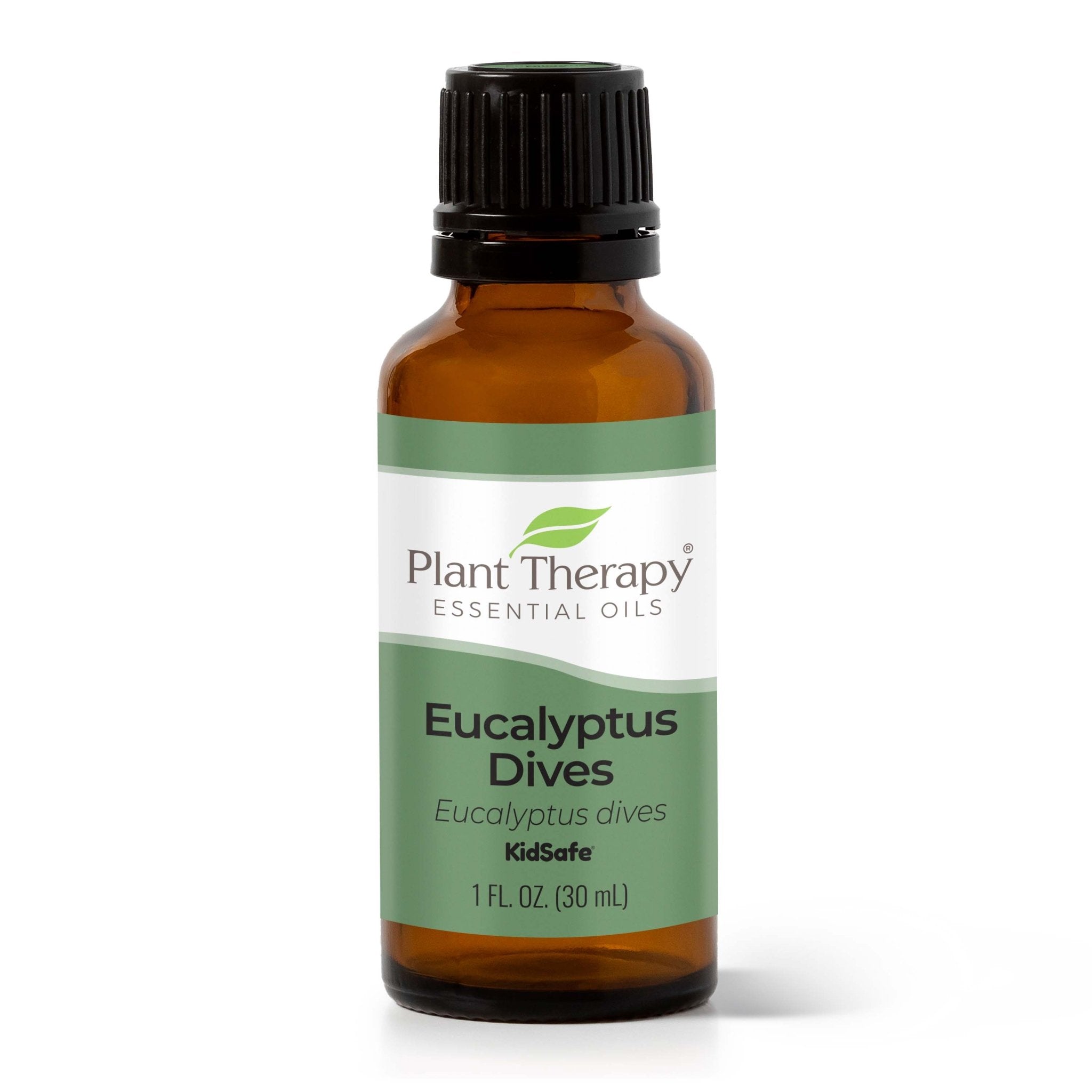 Eucalyptus Dives Essential Oil Plant Therapy