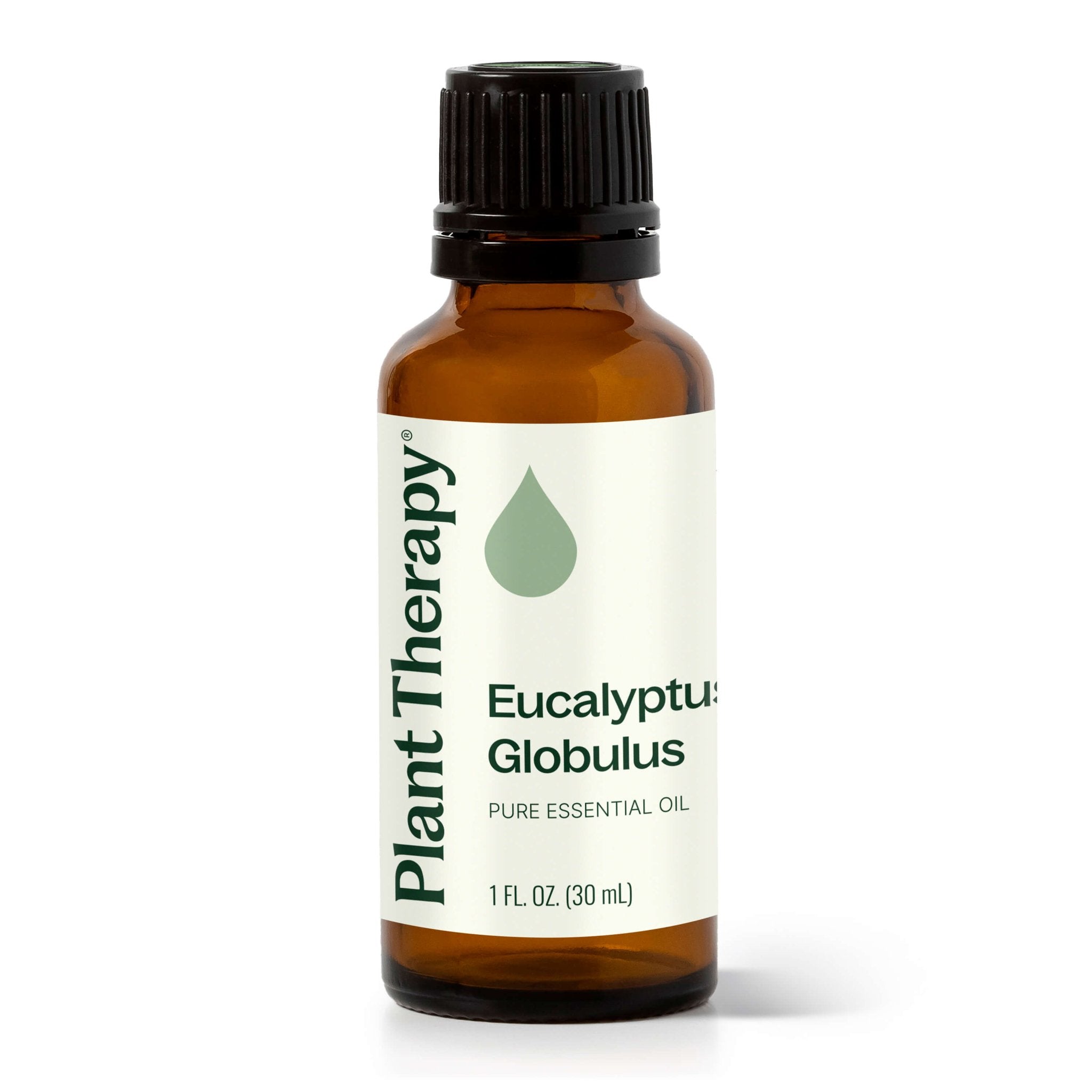 Eucalyptus Globulus Essential Oil Plant Therapy