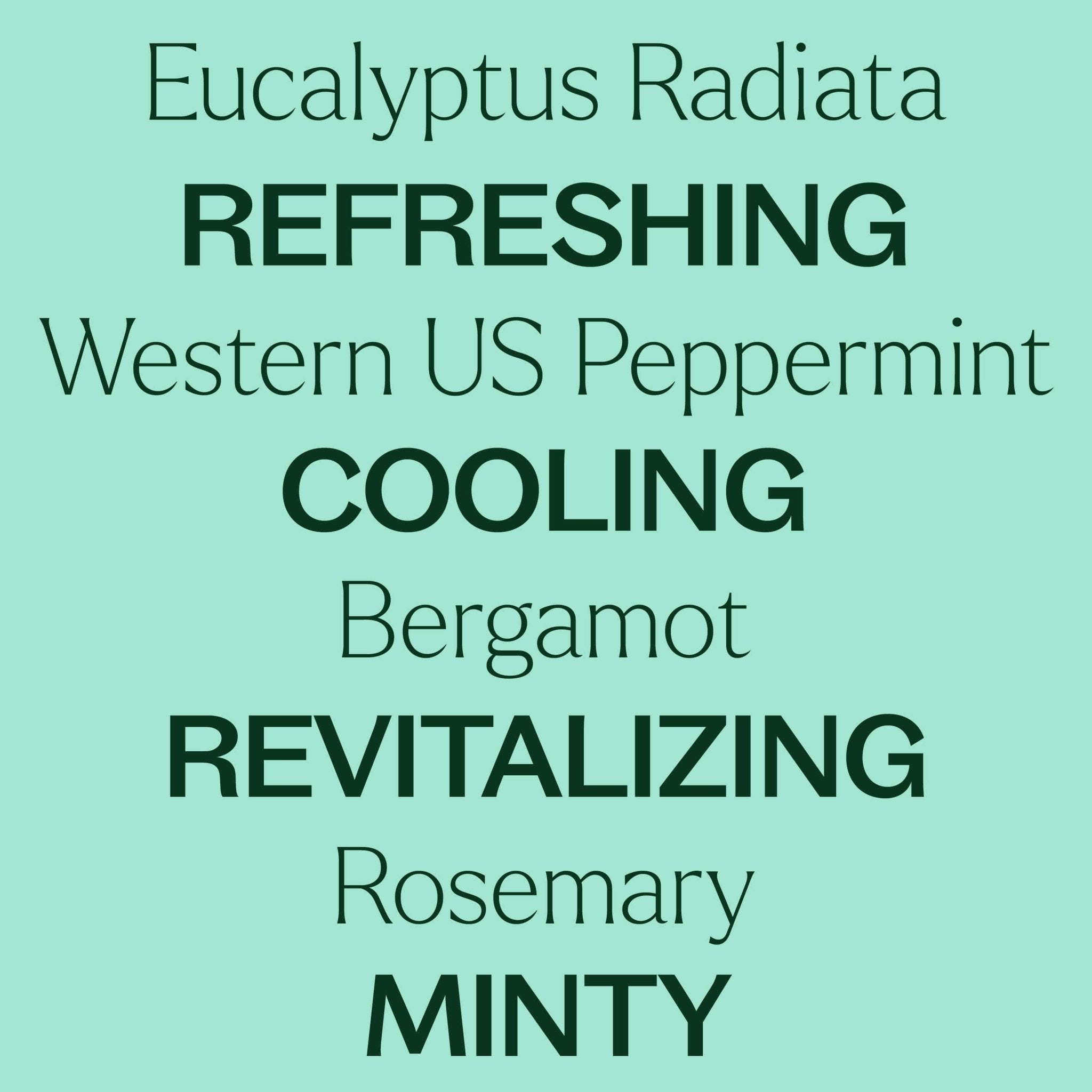 Eucalyptus Mint Essential Oil Blend Plant Therapy