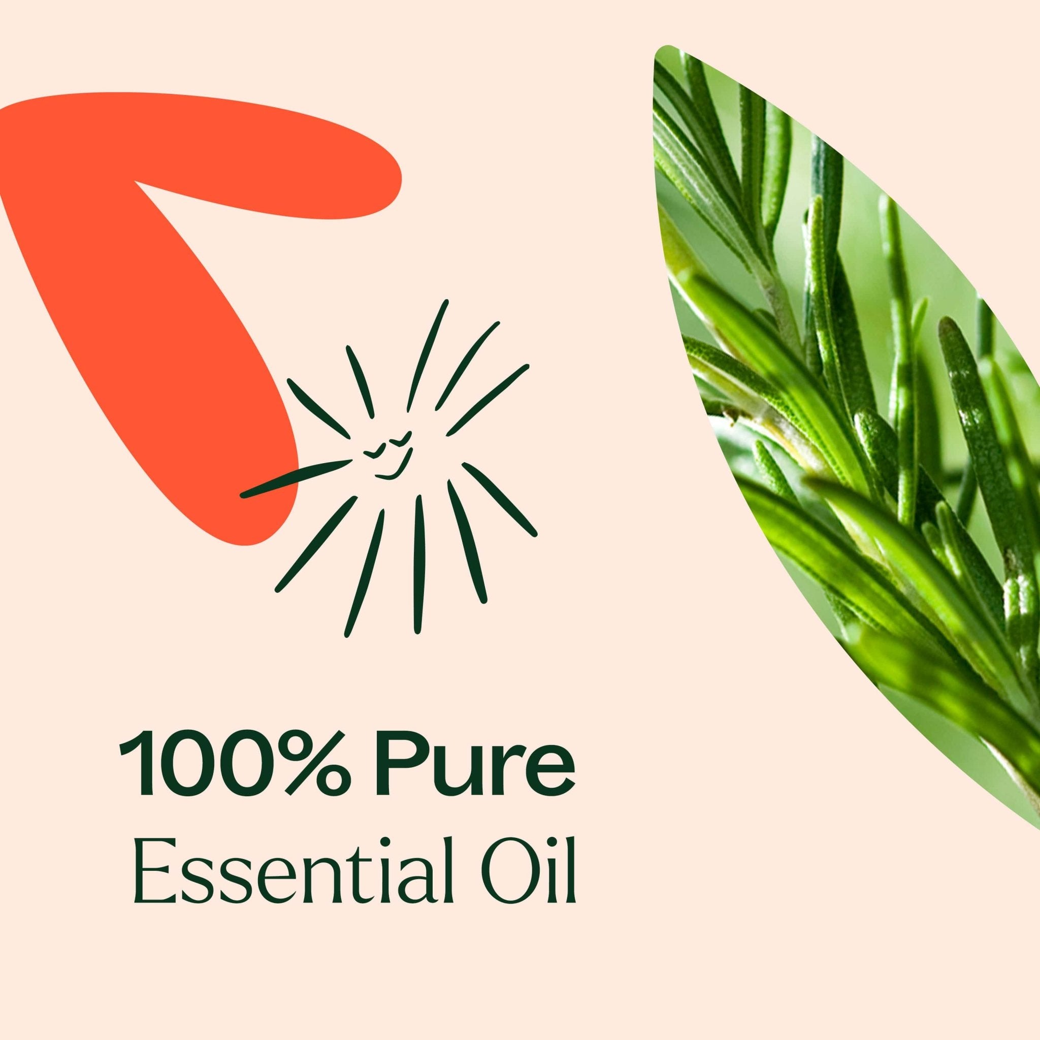 Eucalyptus Mint Essential Oil Blend Plant Therapy