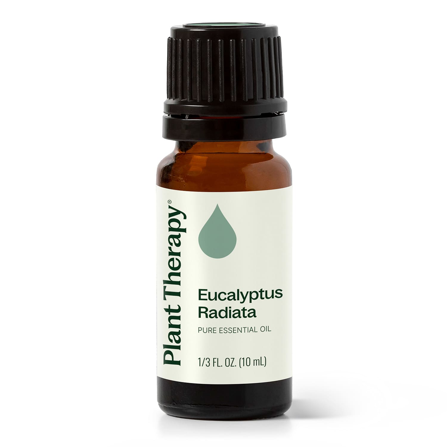 Eucalyptus Radiata Essential Oil Plant Therapy