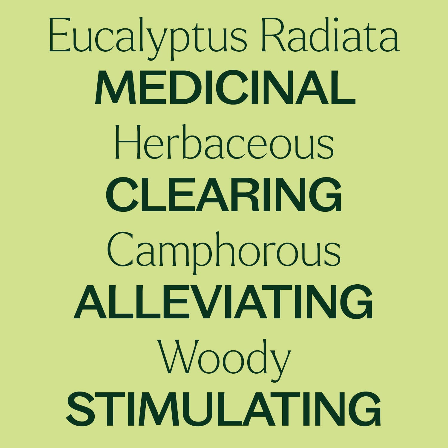 Eucalyptus Radiata Essential Oil Plant Therapy