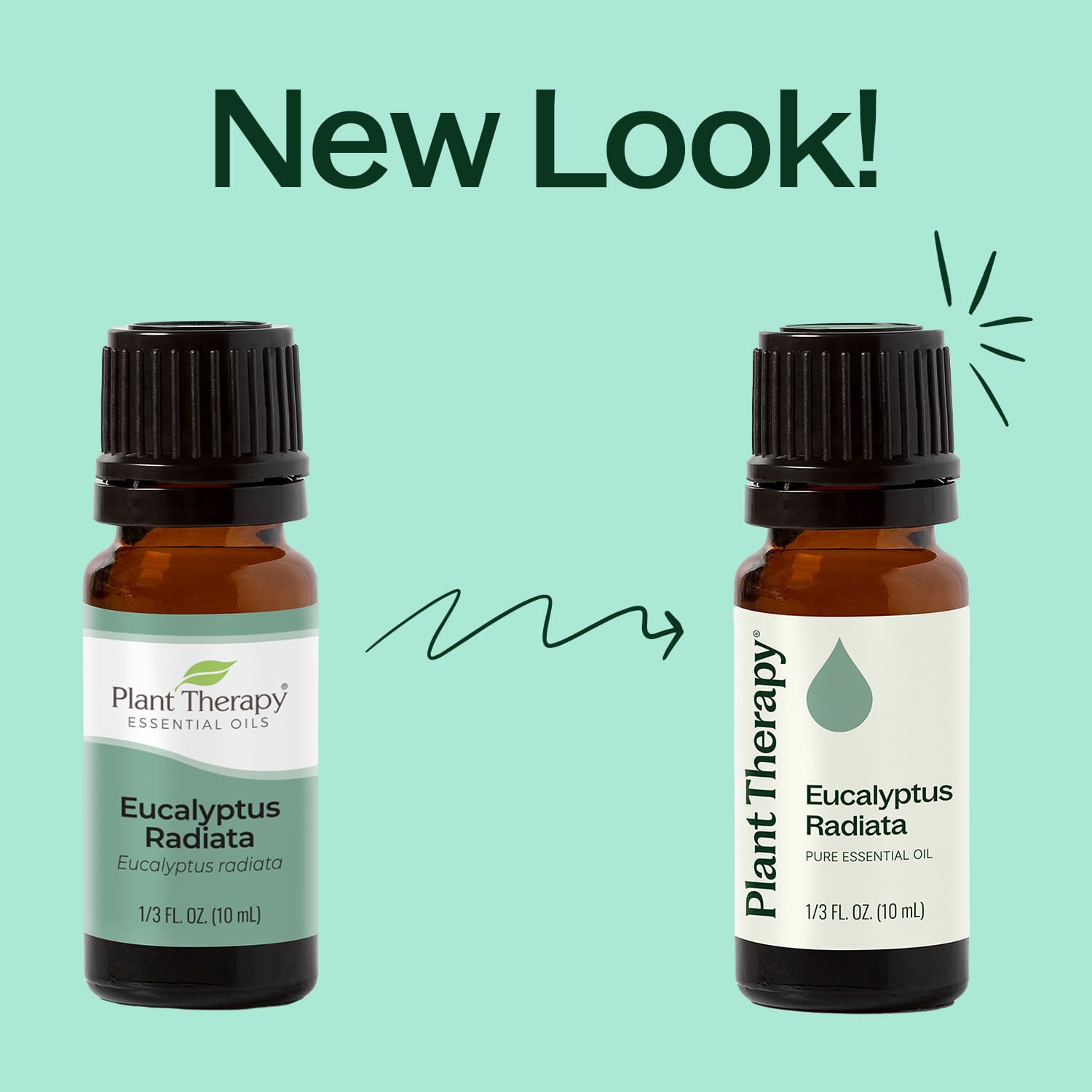 Eucalyptus Radiata Essential Oil Plant Therapy