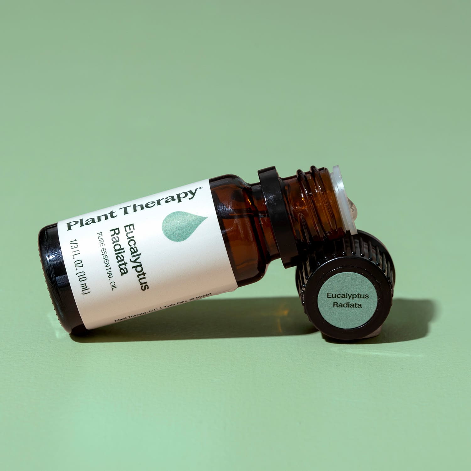 Eucalyptus Radiata Essential Oil Plant Therapy