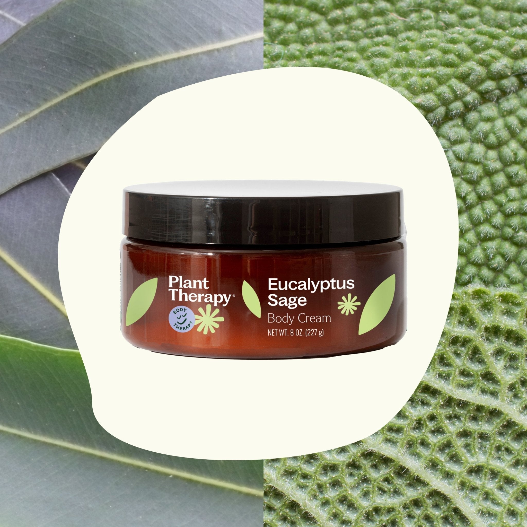 Eucalyptus Sage Body Cream Plant Therapy