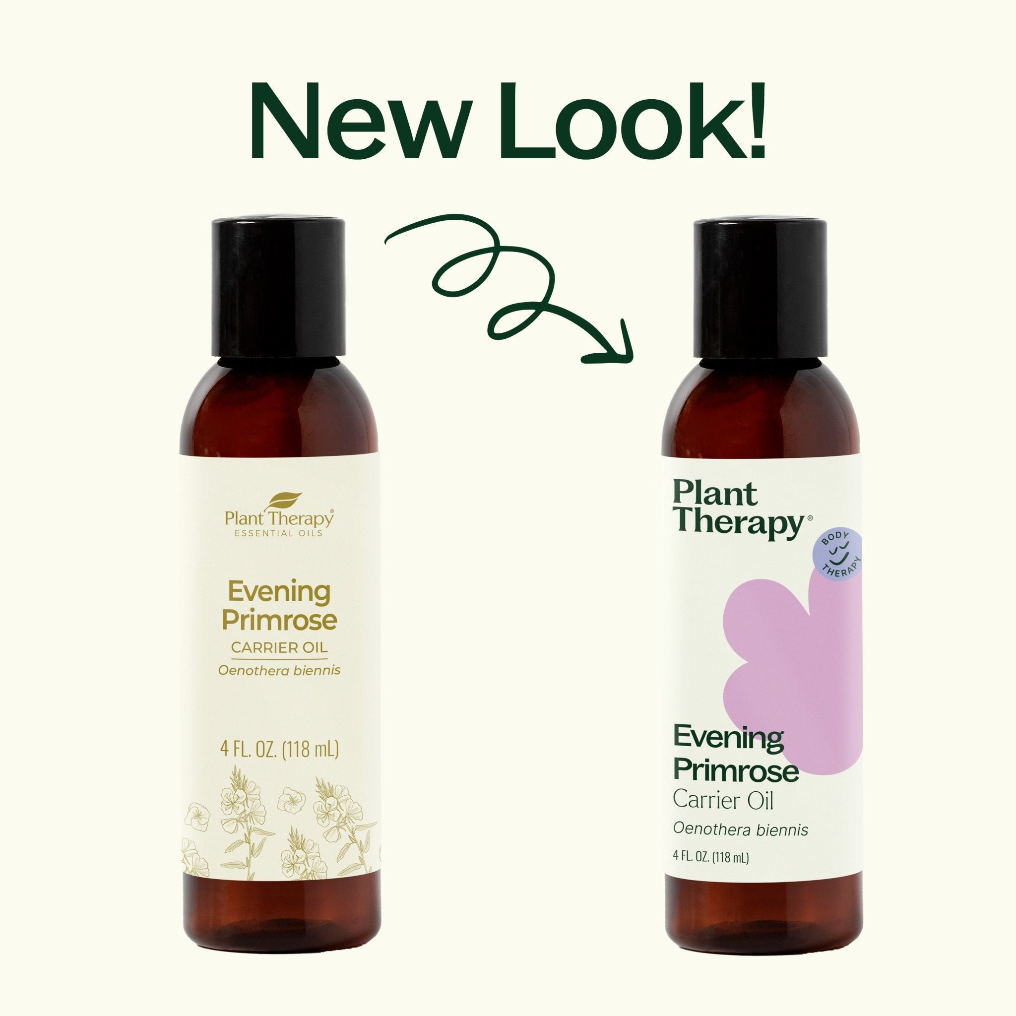 Evening Primrose Carrier Oil Plant Therapy