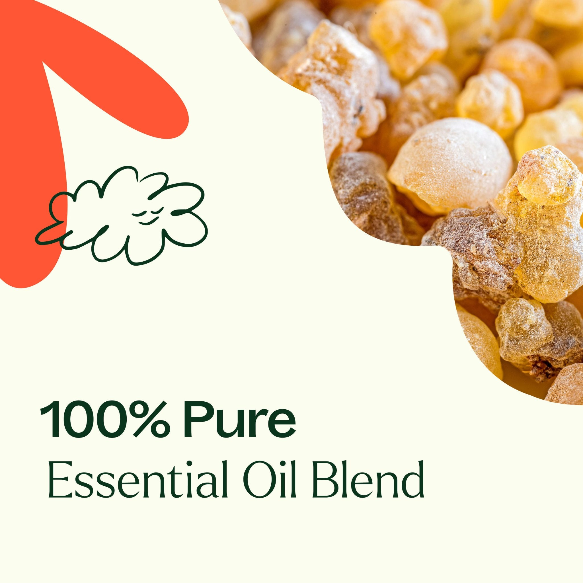 Fantastic Franks™ Essential Oil Blend Plant Therapy