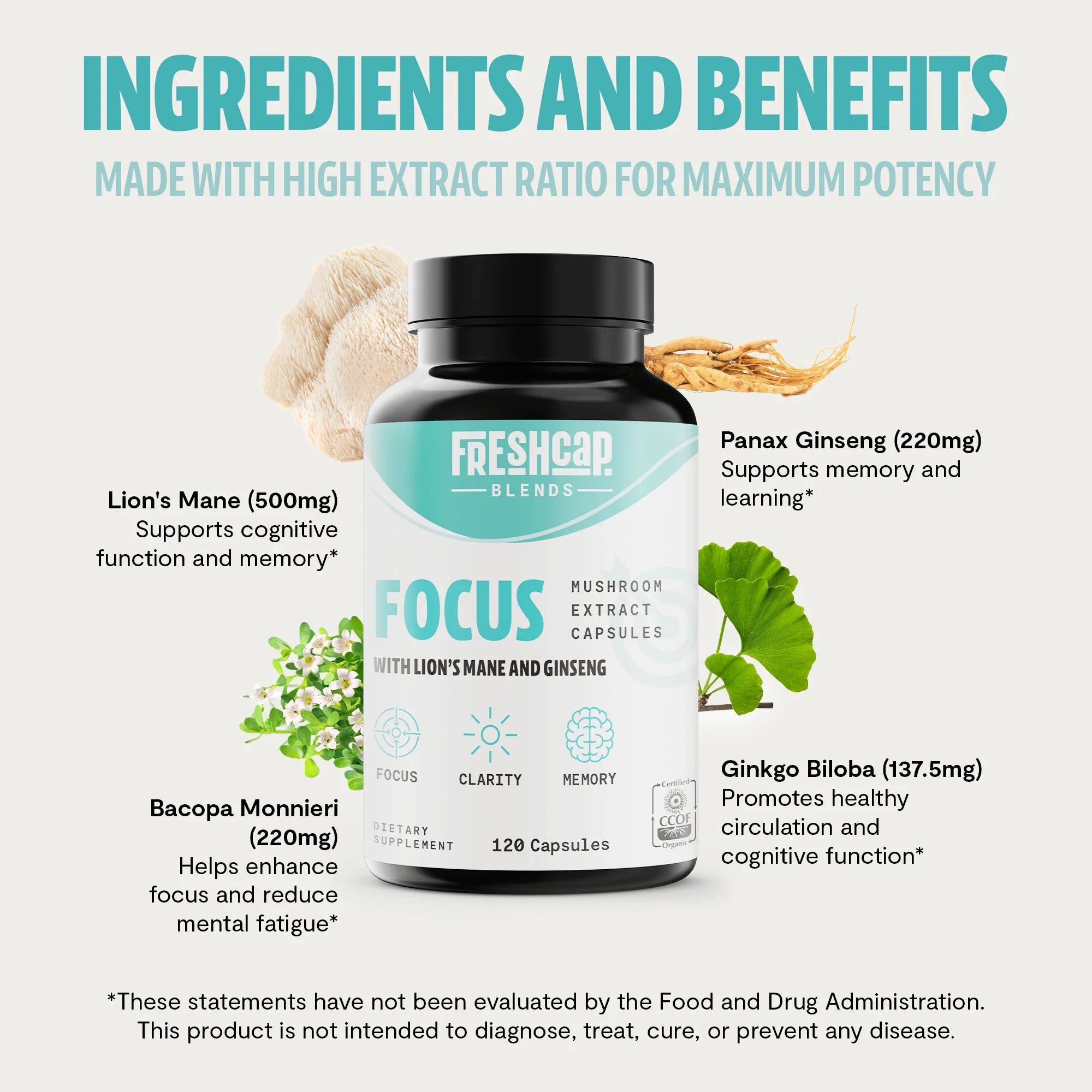 Focus Blend Capsules, 120ct FreshCap Mushrooms