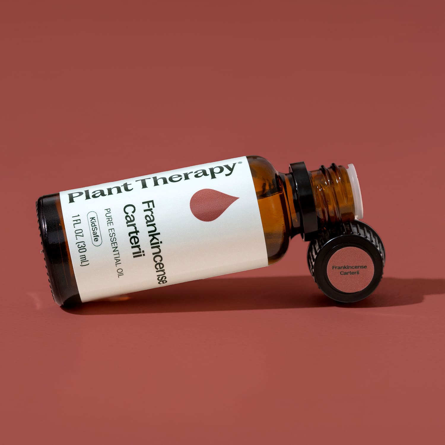Frankincense Carterii Essential Oil Pre - Diluted Roll - On Plant Therapy