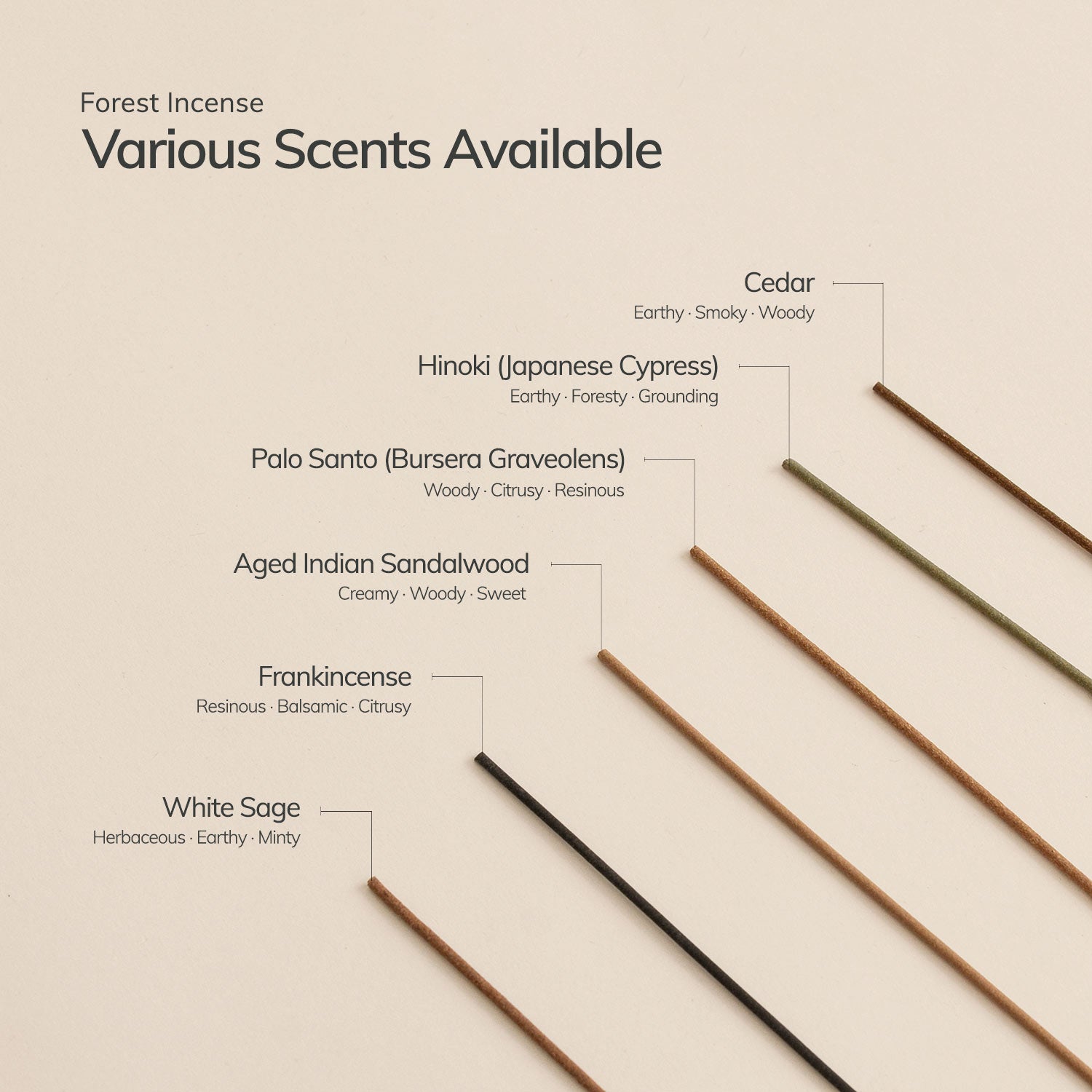 Frankincense Japanese Incense Stick Set - 30 Sticks with Ceramic Holder CEDAR AND MYRRH