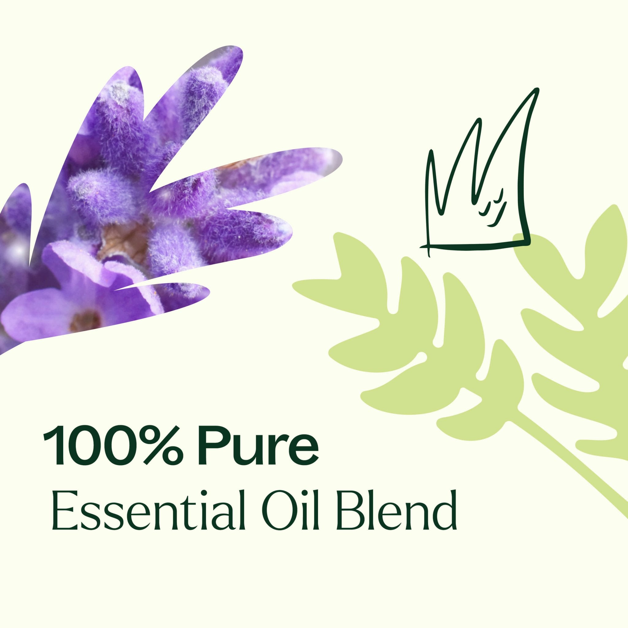 Germ Destroyer KidSafe Essential Oil Plant Therapy