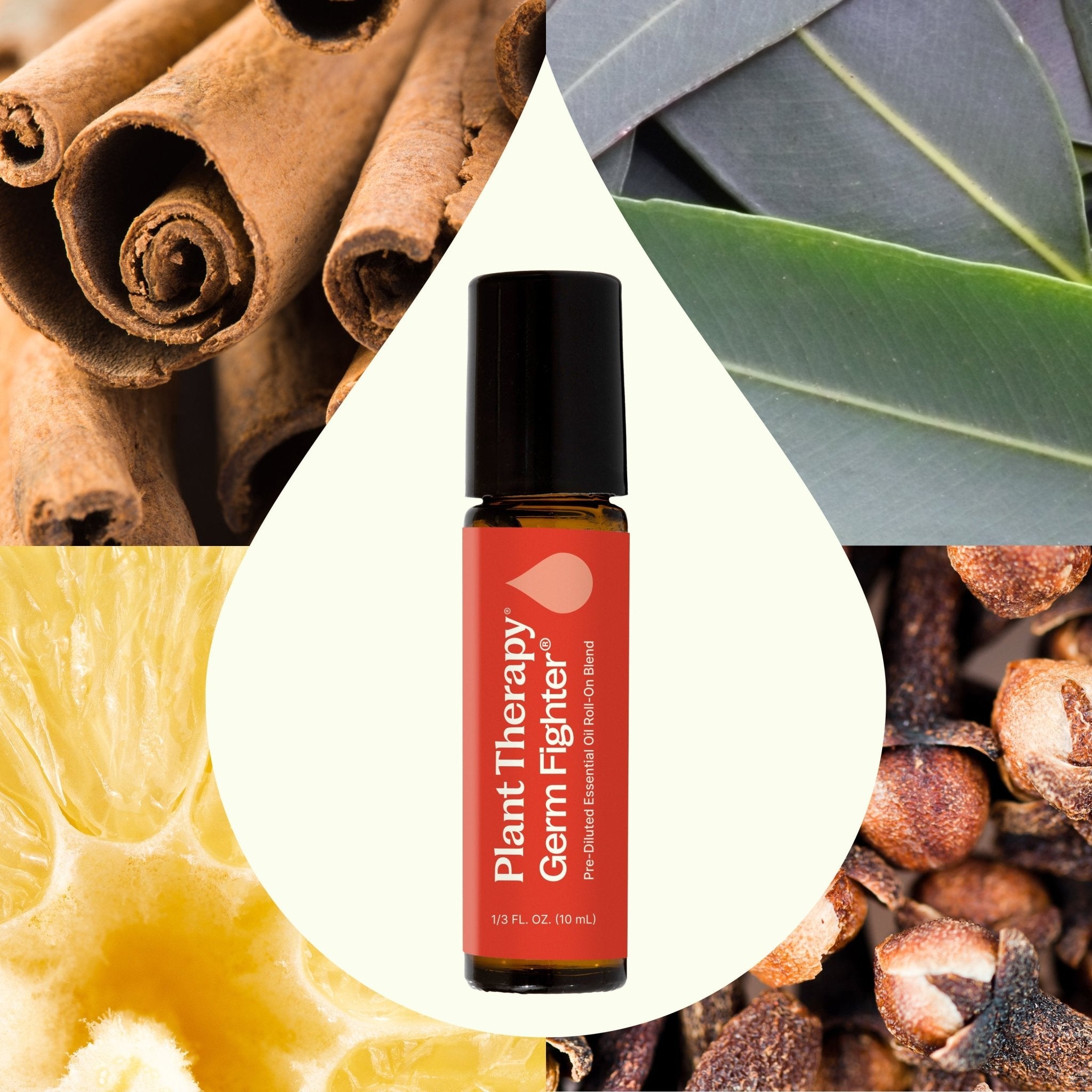 Germ Fighter Essential Oil Blend Pre - Diluted Roll - On Plant Therapy