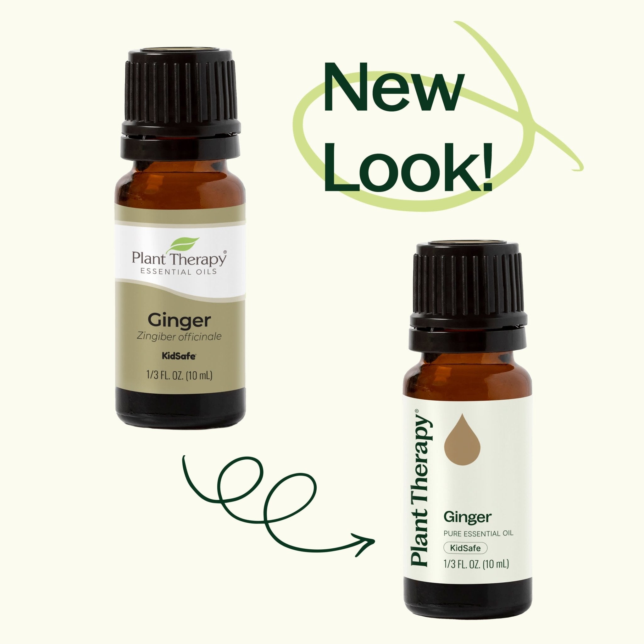 Ginger Essential Oil Plant Therapy
