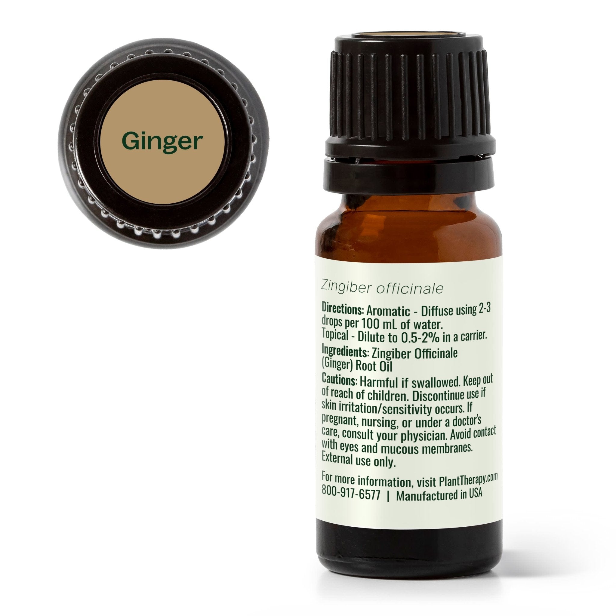 Ginger Essential Oil Plant Therapy
