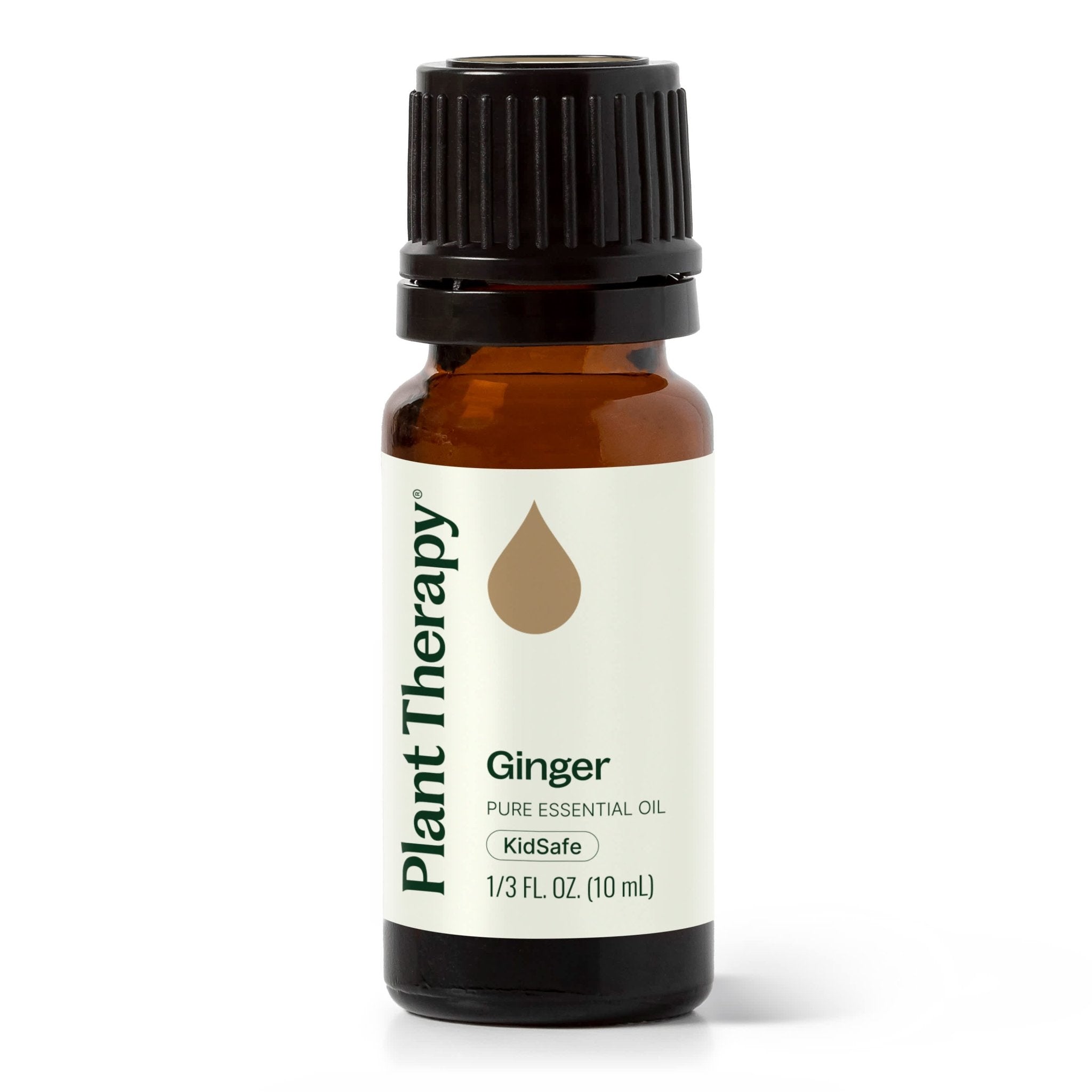 Ginger Essential Oil Plant Therapy