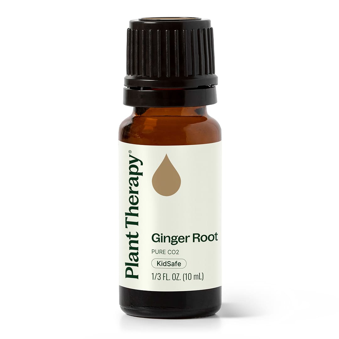 Ginger Root CO2 Extract Plant Therapy