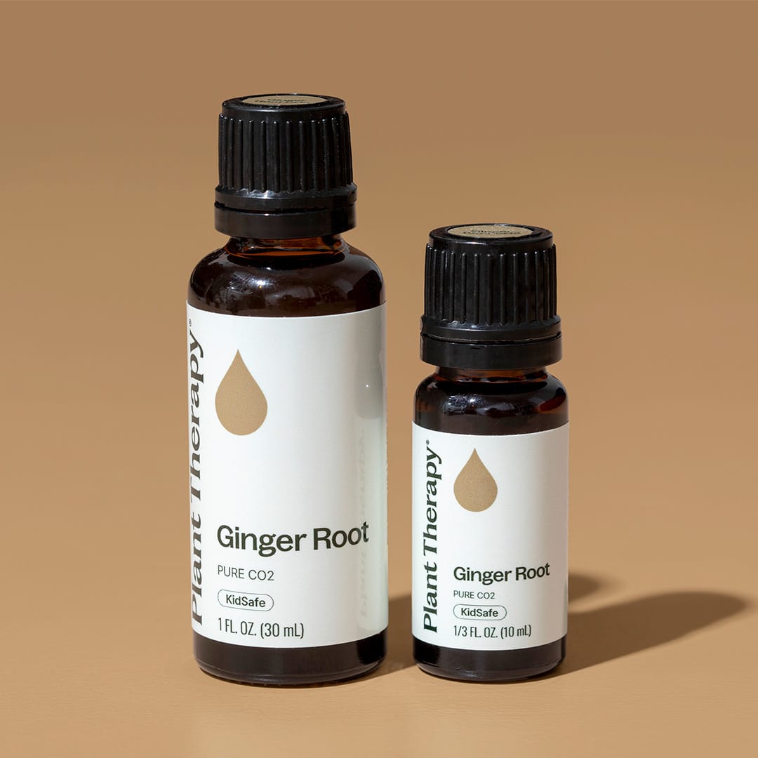 Ginger Root CO2 Extract Plant Therapy