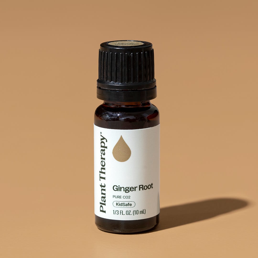 Ginger Root CO2 Extract Plant Therapy