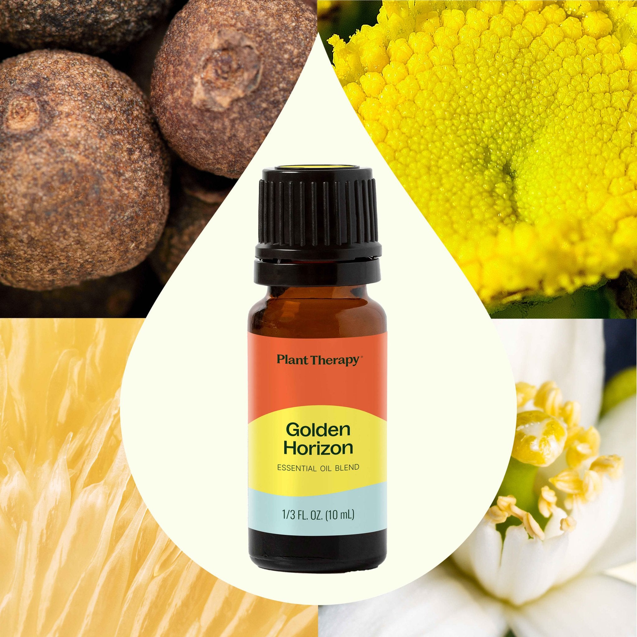 Golden Horizon Essential Oil Blend Plant Therapy