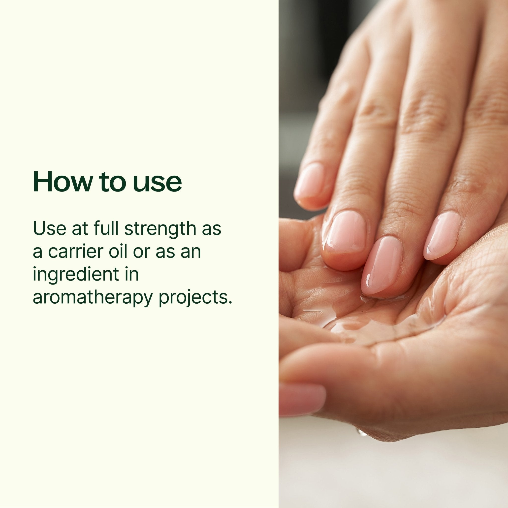 Grapeseed Carrier Oil Plant Therapy