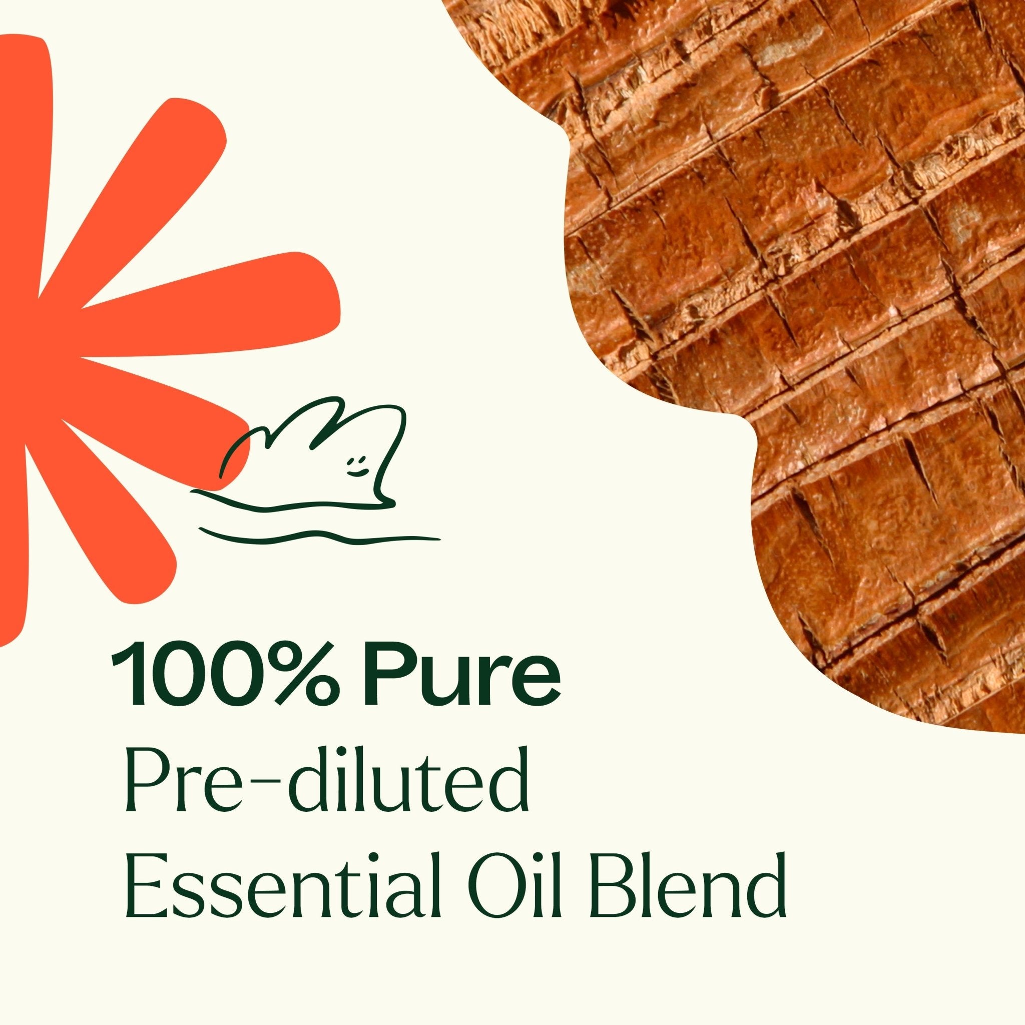 Grounded Foundation (Root Chakra) Essential Oil Pre - Diluted Roll - On Plant Therapy