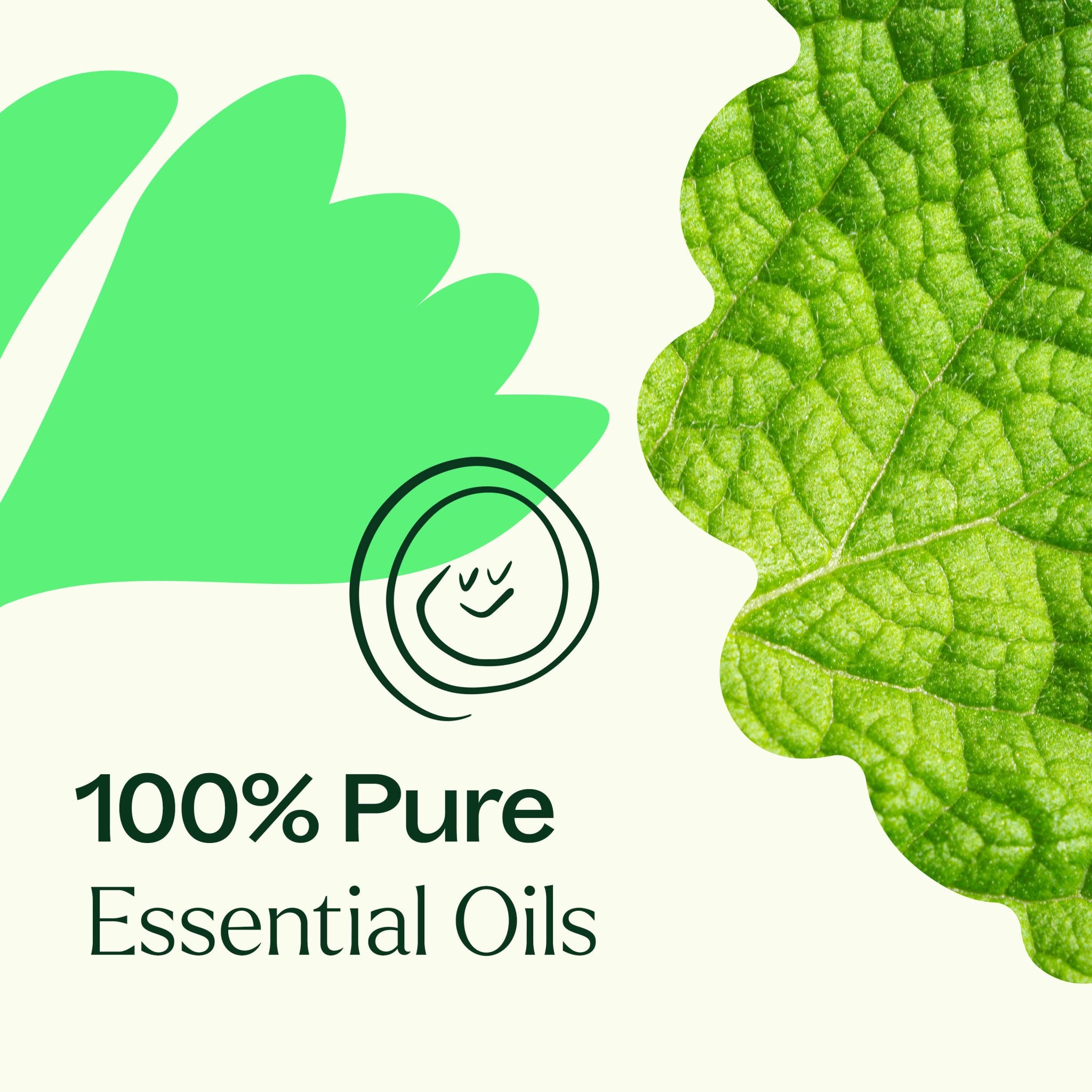 Gut Aid™ Essential Oil Blend Plant Therapy