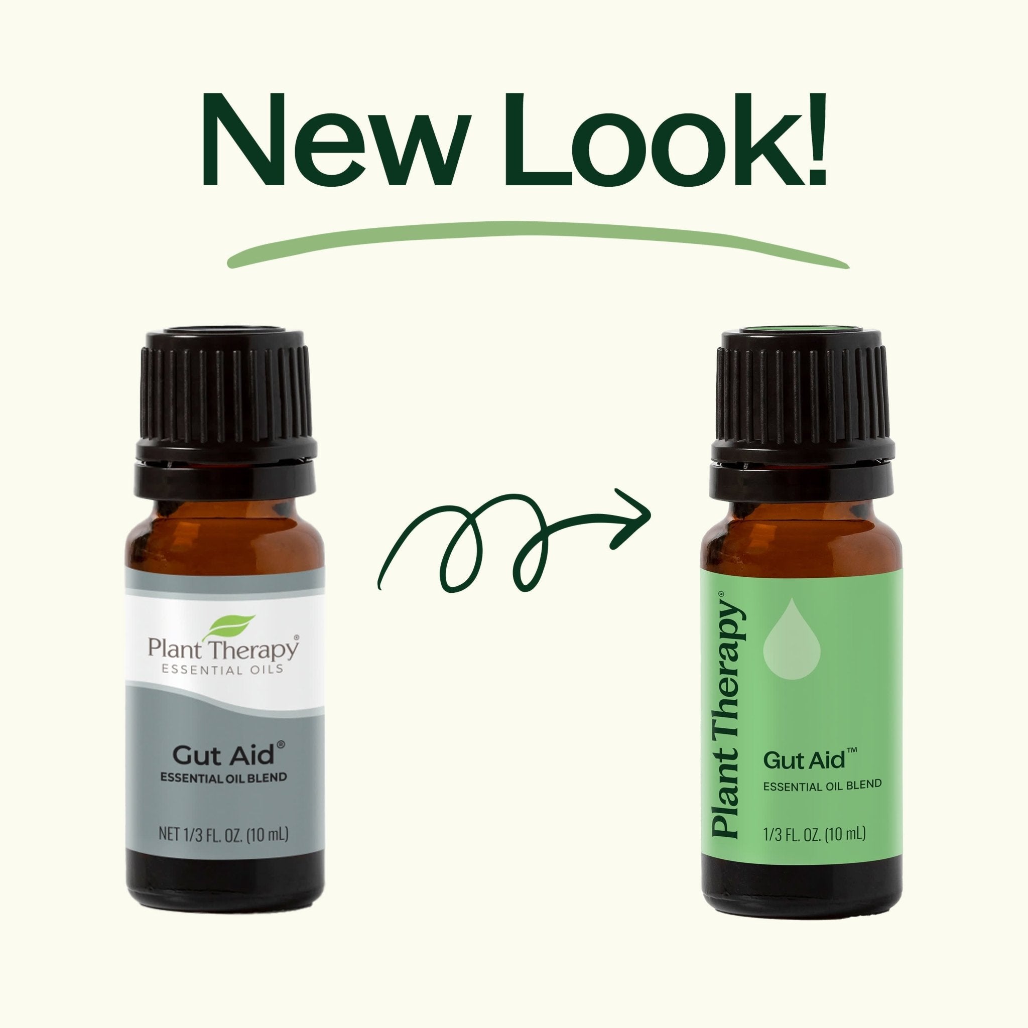 Gut Aid™ Essential Oil Blend Plant Therapy