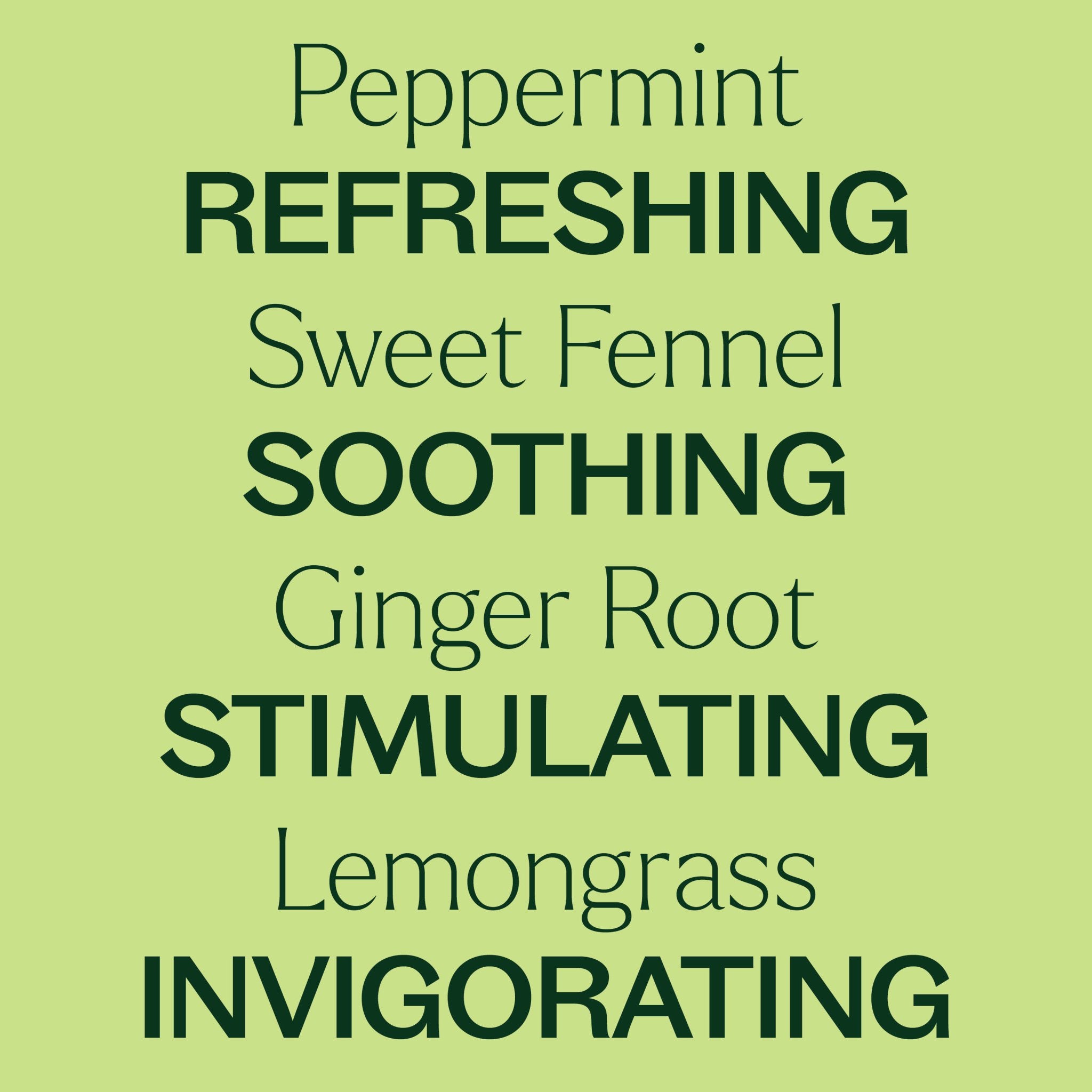 Gut Aid™ Essential Oil Blend Plant Therapy