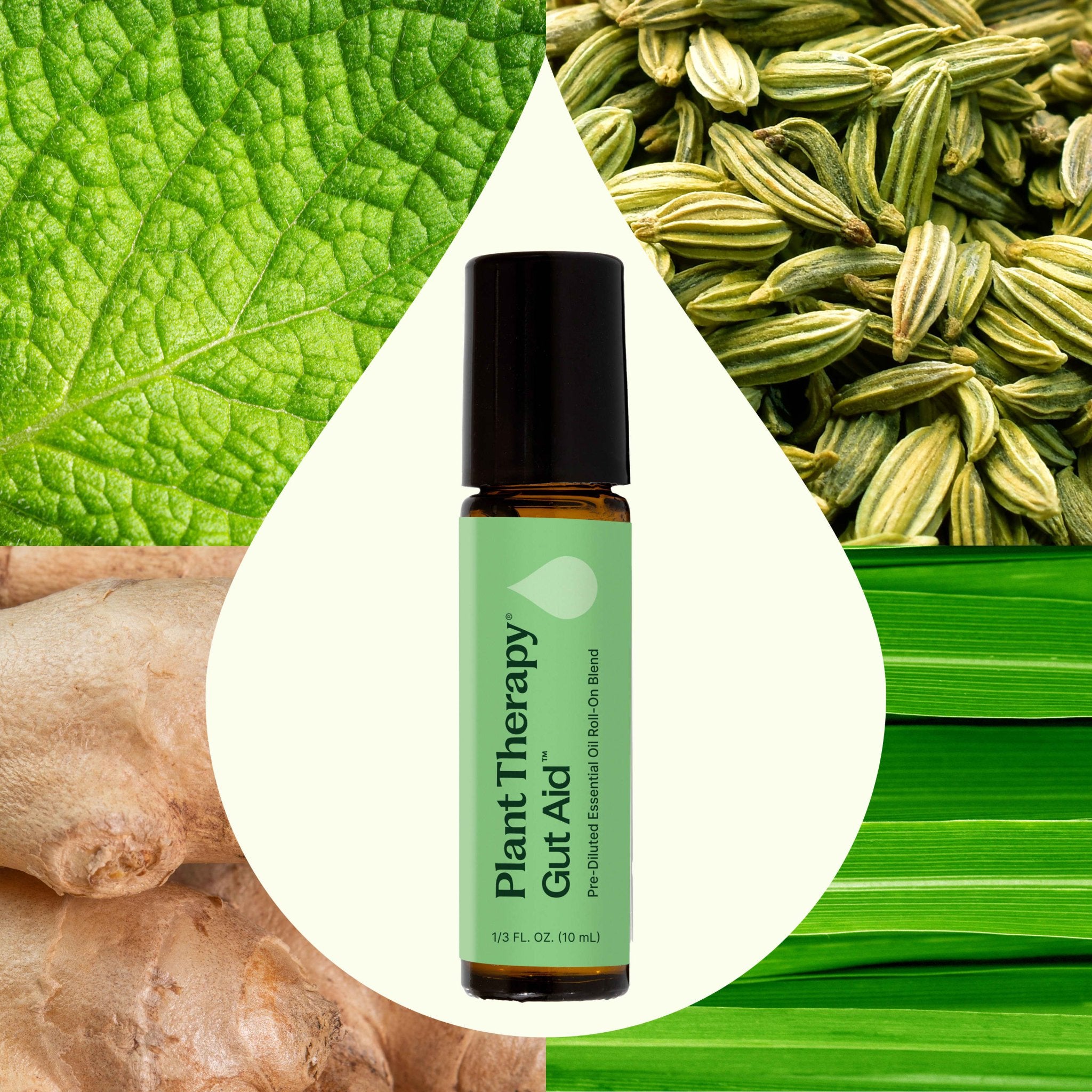 Gut Aid™ Essential Oil Blend Pre - Diluted Roll - On Plant Therapy
