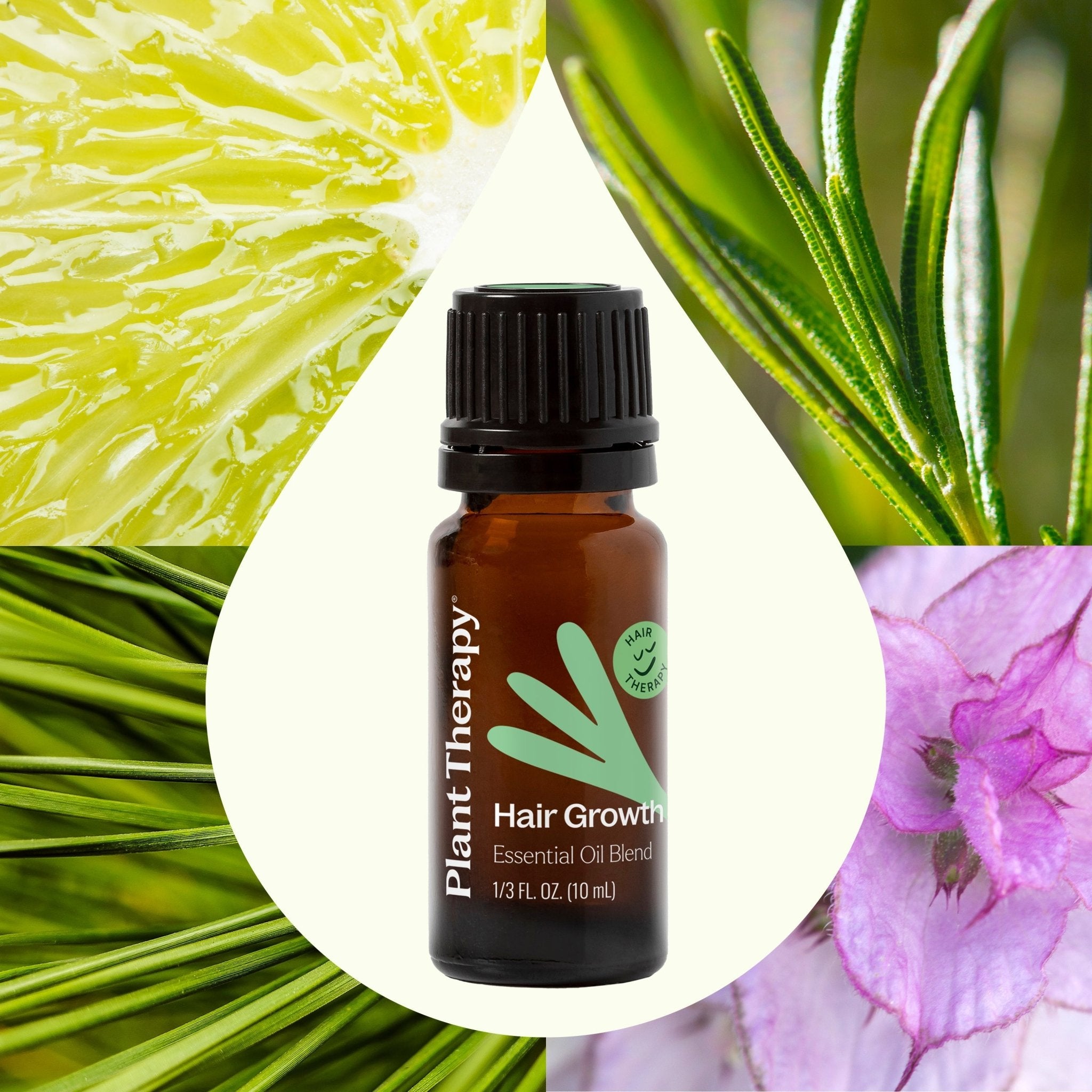 Hair Growth Essential Oil Blend Plant Therapy