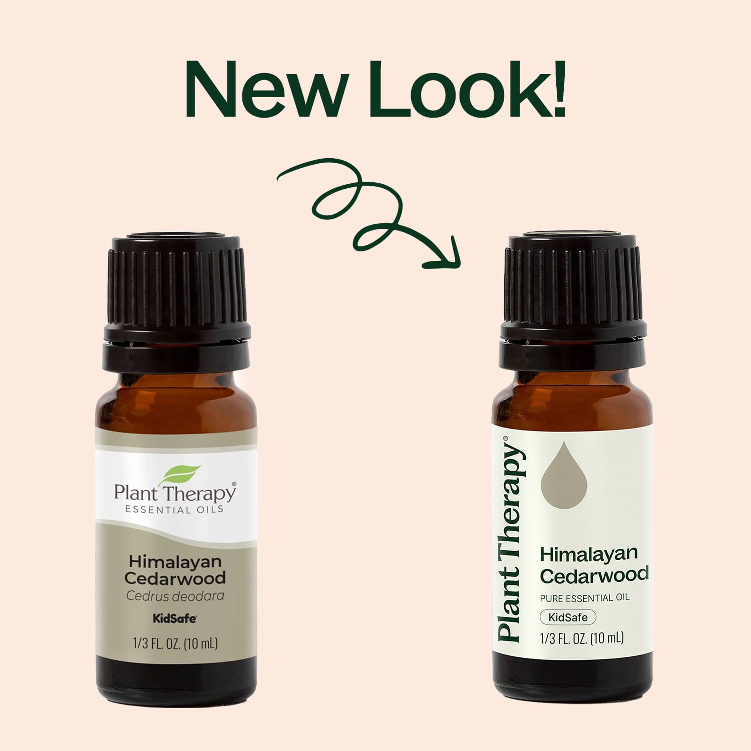 Himalayan Cedarwood Essential Oil Plant Therapy
