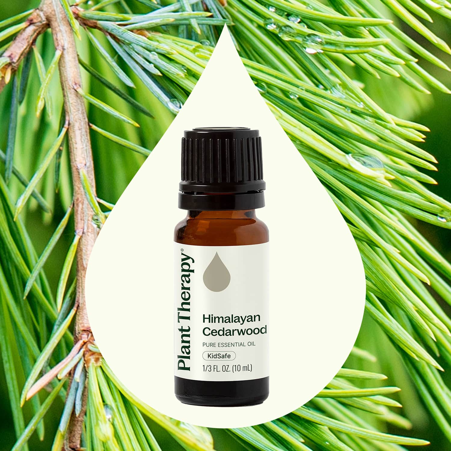 Himalayan Cedarwood Essential Oil Plant Therapy