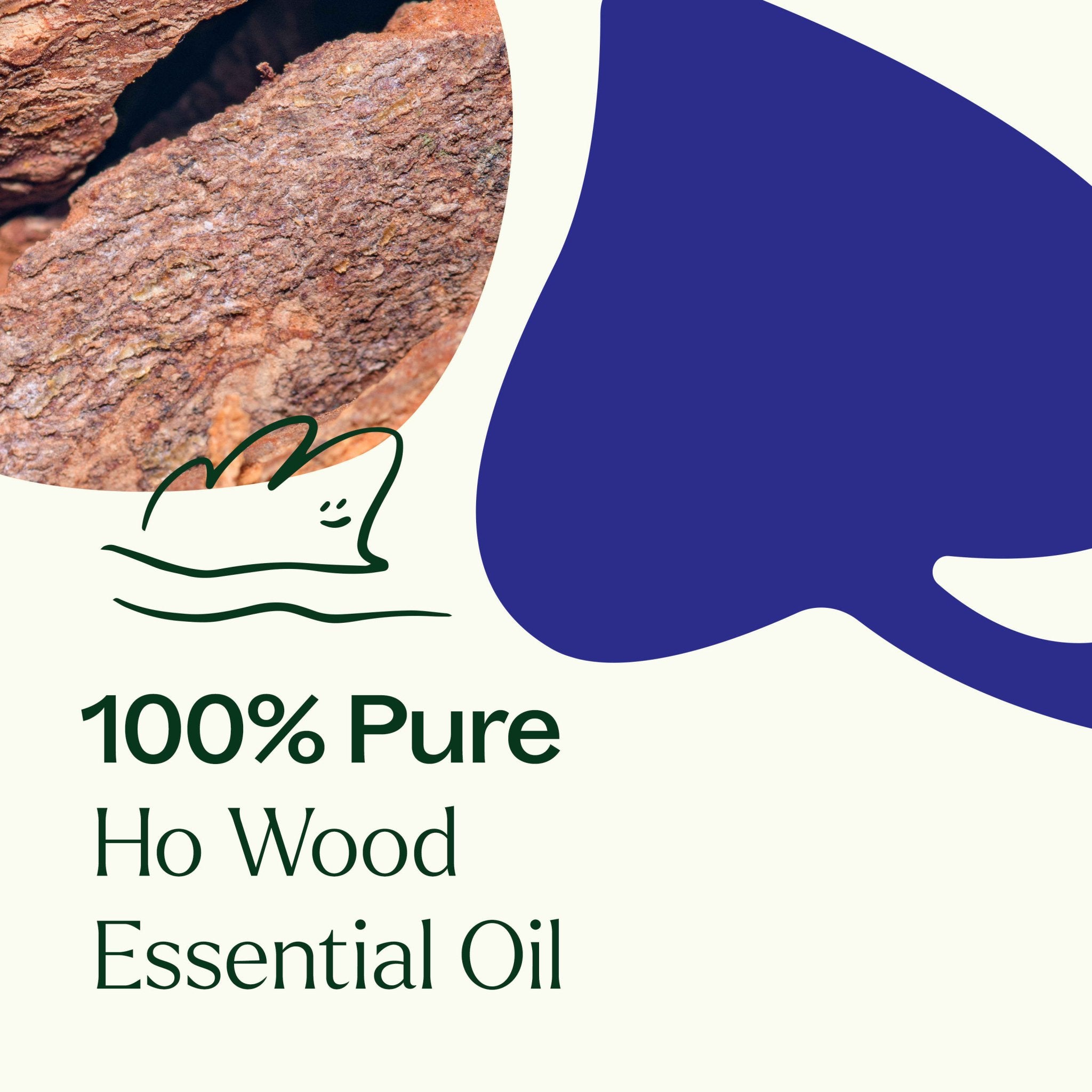 Ho Wood Essential Oil Plant Therapy