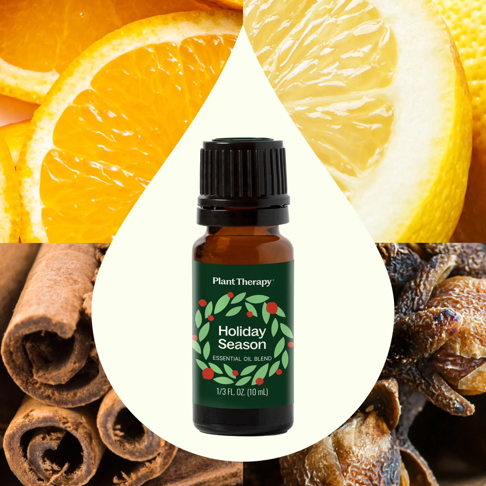 Holiday Season Essential Oil Blend Plant Therapy