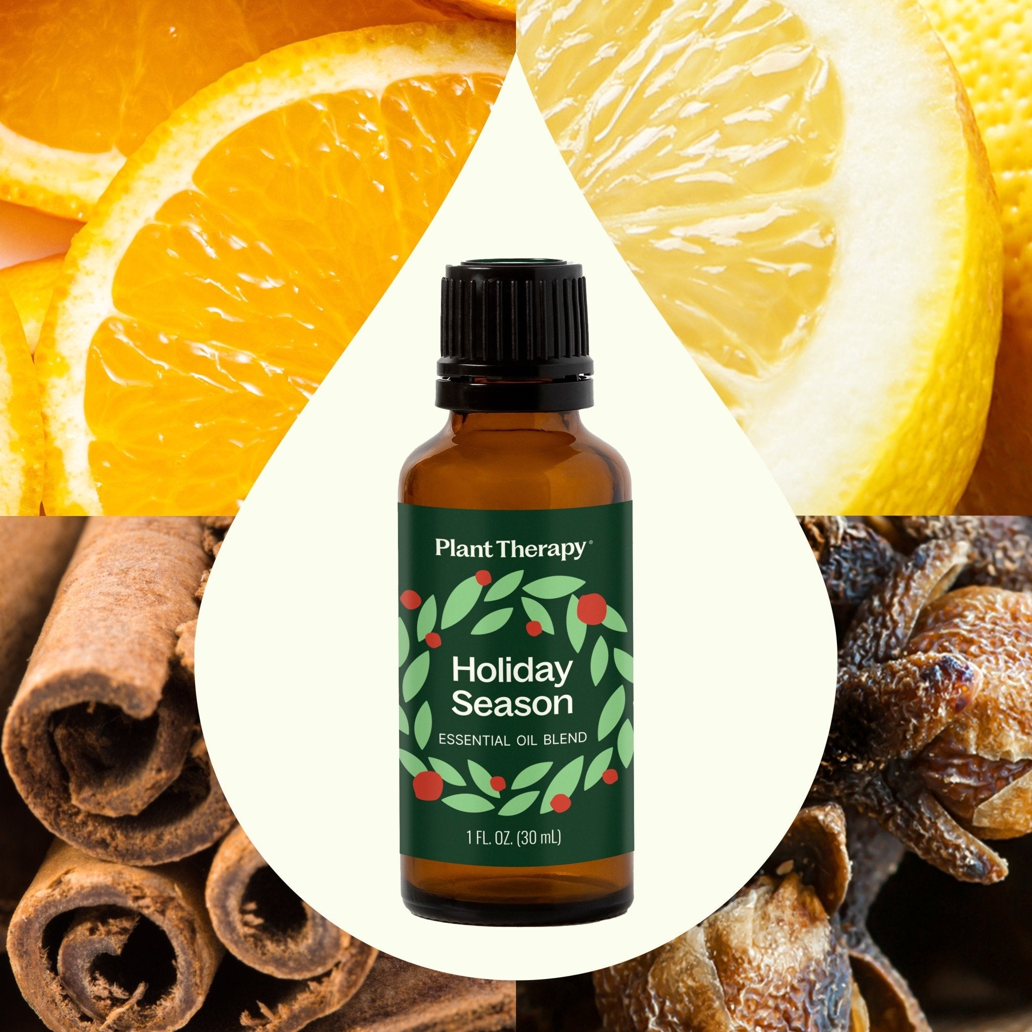 Holiday Season Essential Oil Blend Plant Therapy